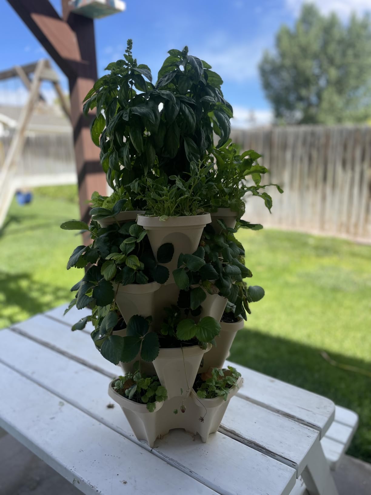 Vertical Garden Planter 4 Tier Stackable System 16 Plants, Space Saving Herb, Strawberry & Food Crop Planter with Center Support Hole for Indoor Outdoor Gardening (Stone, Small) customer photo 2