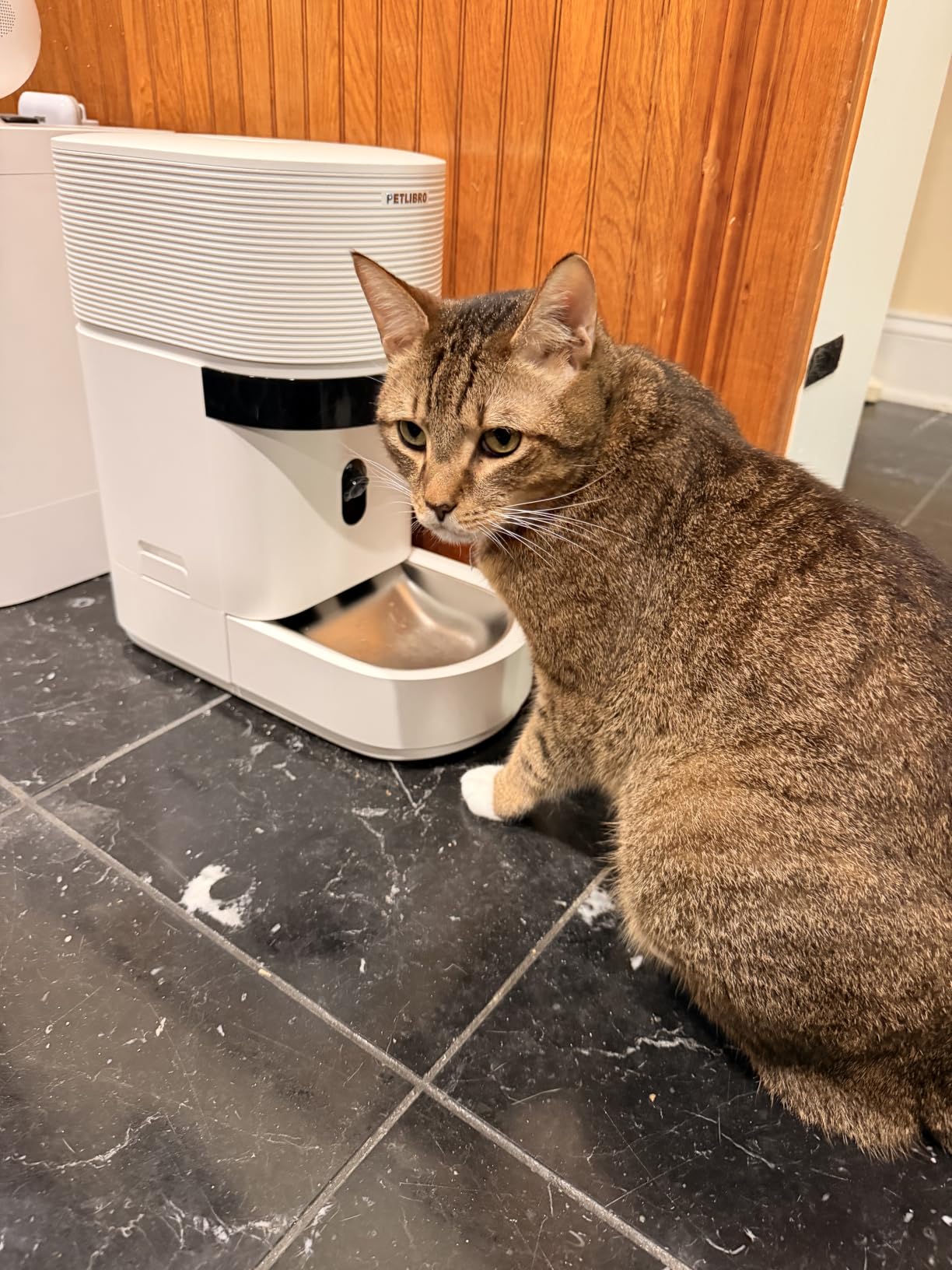 PETLIBRO Automatic Cat Feeder with Camera, Scale AI Smart Food Intake Track customer photo 1