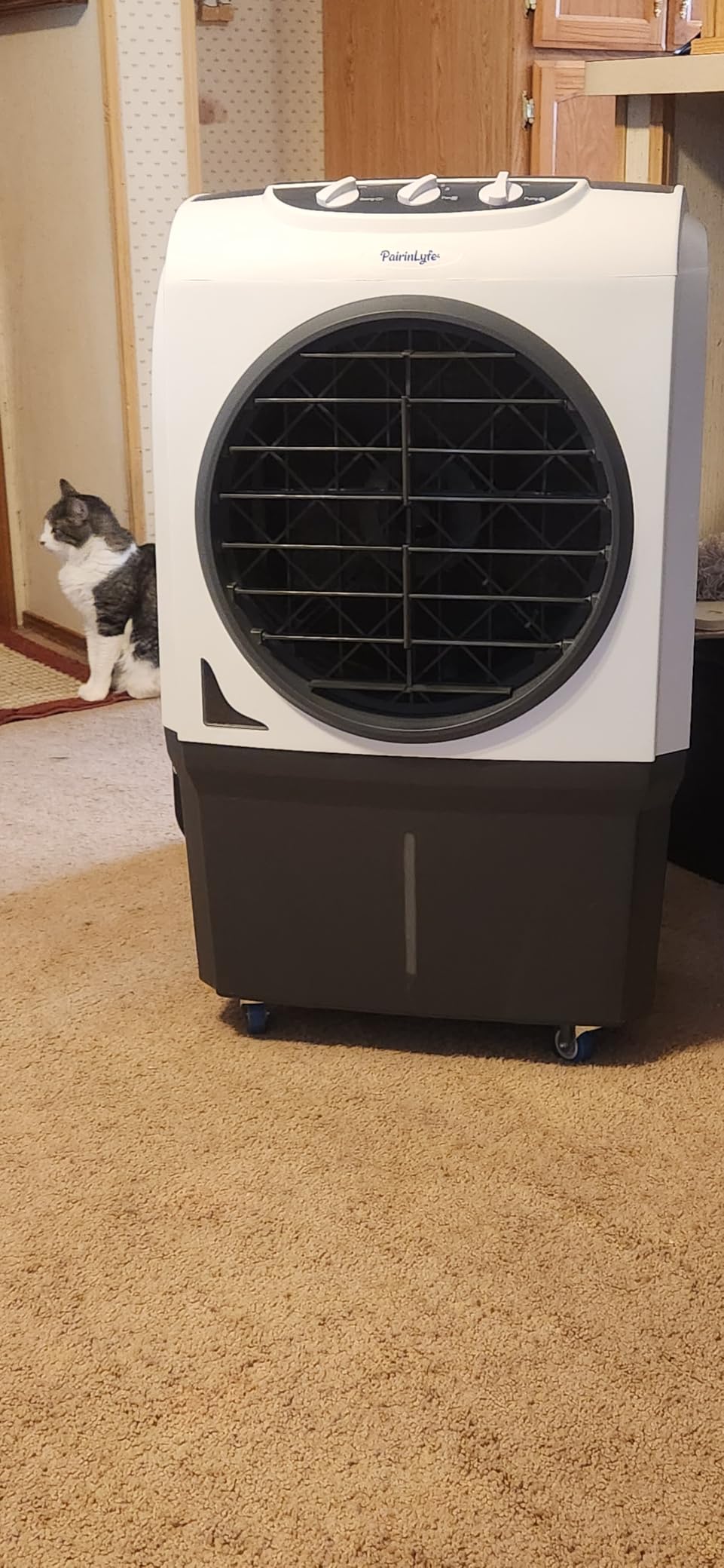 Portable 2200CFM Swamp Cooler, 3-IN-1 36