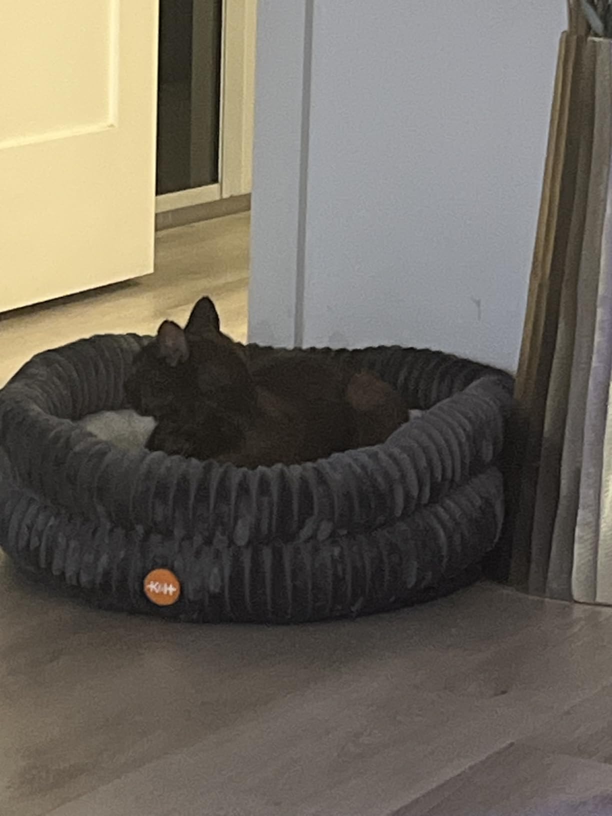 K&H Heated Cat Bed, Thermo Pet Cuddler Indoor, Safety Listed, Gray 22in | Removable Waterproof Cat Heating Pad, Calming Small Donut Heated Dog Bed with Dual Bolsters, Machine Washable, Non Slip Base customer photo 1