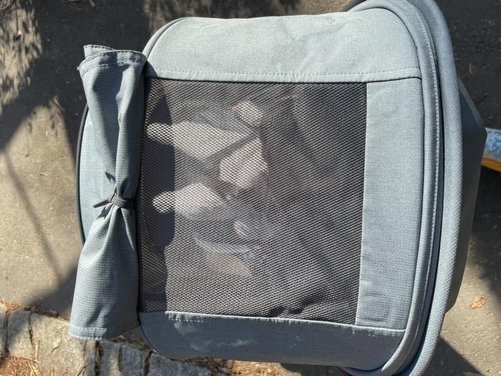 UPPAbaby Minu V3 Travel Stroller - Lightweight & Compact - James customer photo 1