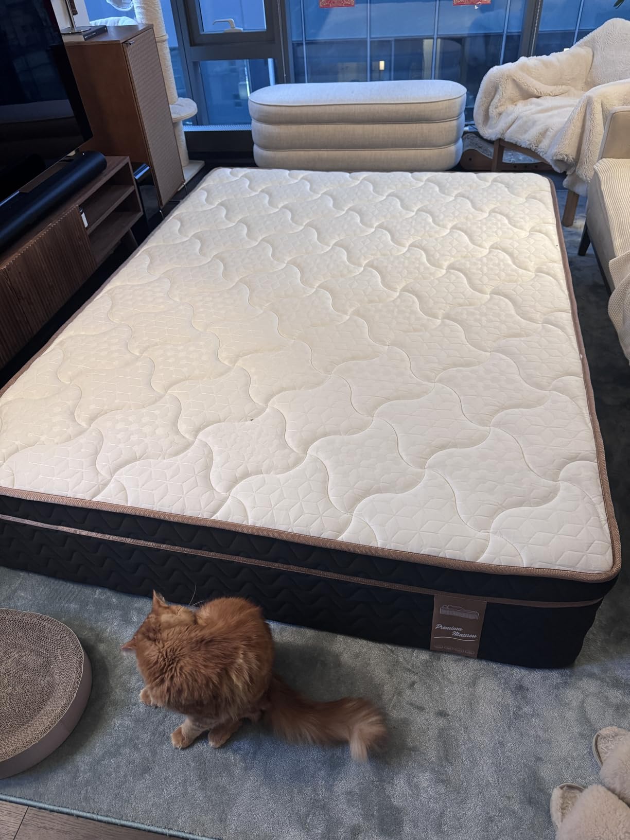 Queen Mattress 14 Inch, Luxury Hotel Cooling Hybrid Bed Mattress in a Box | Zones Individual Pocket Spring, Extra Hip/Shoulder/Lumbar Support, Fiberglass-Free, 365-Night Trial, CertiPUR-US customer photo 1