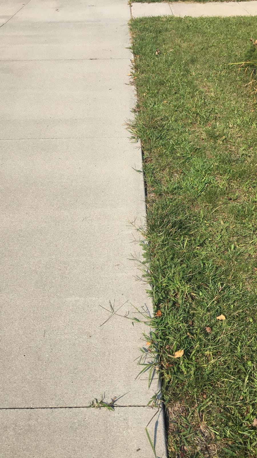 BLACK+DECKER Edger & Trencher, 2-in-1, 12-Amp (LE750) customer photo 1