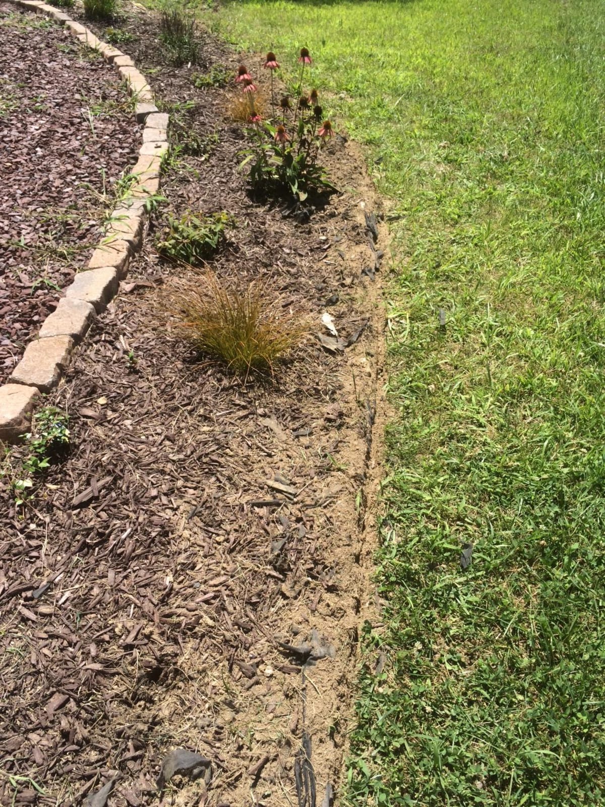BLACK+DECKER Edger & Trencher, 2-in-1, 12-Amp (LE750) customer photo 2