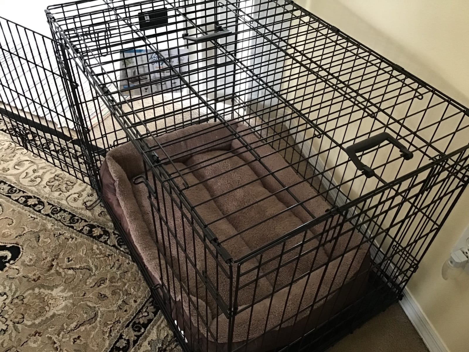 LifeStages by MidWest 42-Inch Double Door Crate, Large Breeds, 71-90 lbs customer photo 2