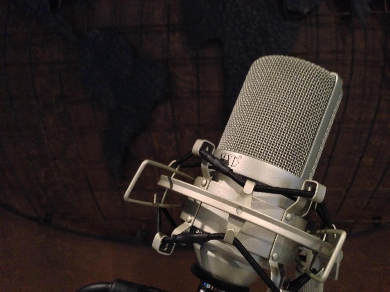 MXL 990 Condenser Microphone for Podcasting, Singing, Home Studio Recording, Gaming & Streaming | Detailed Sound | XLR | Large Diaphragm (Champagne) customer photo 1