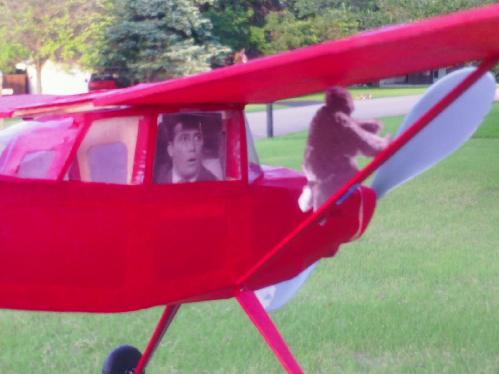 Guillow's Cessna O-1E Bird Dog Model Kit customer photo 1
