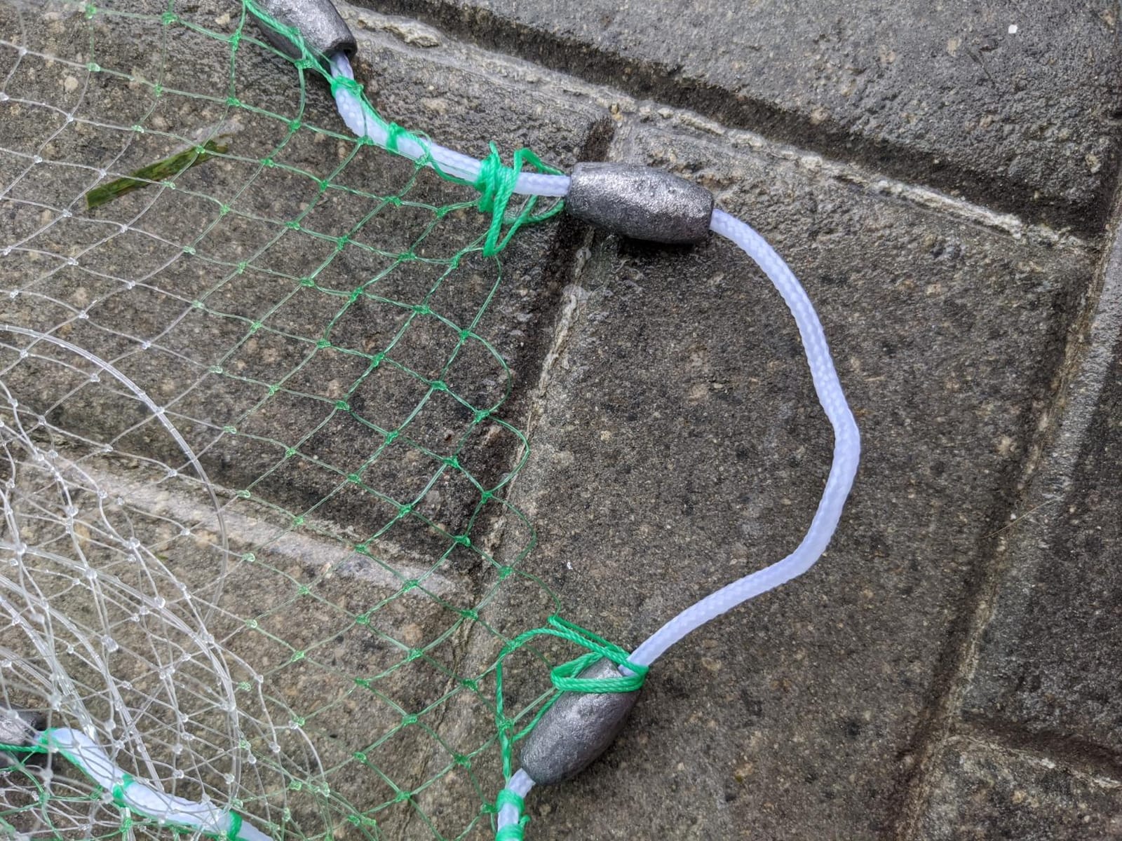 Betts Old Salt Premium Cast Net for Bait Fish with Utility Box customer photo 1
