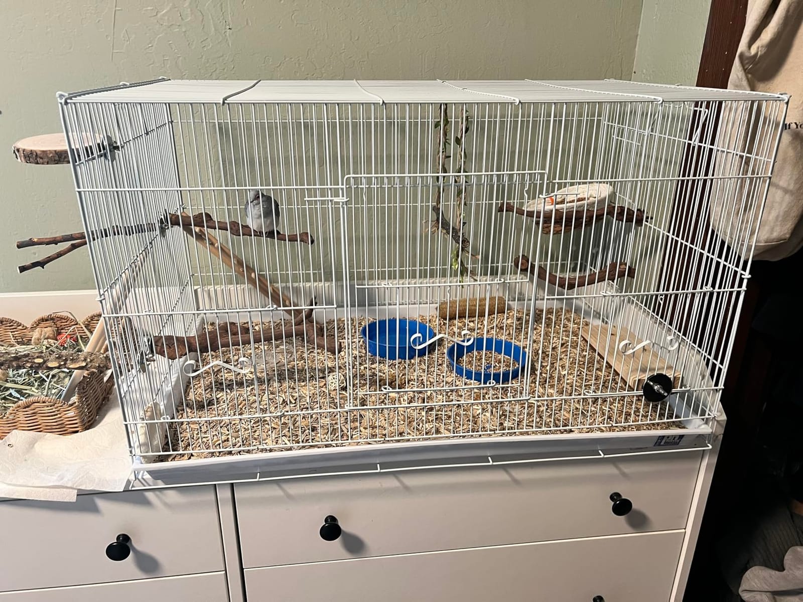 Prevue Pet Products Flight Cage Metal Steel Bird Crate, Multi-Bird Home Stackable Cage for Birds, Home Crate for Extra-Small Pet Parakeets, Finches, and More, White customer photo 2