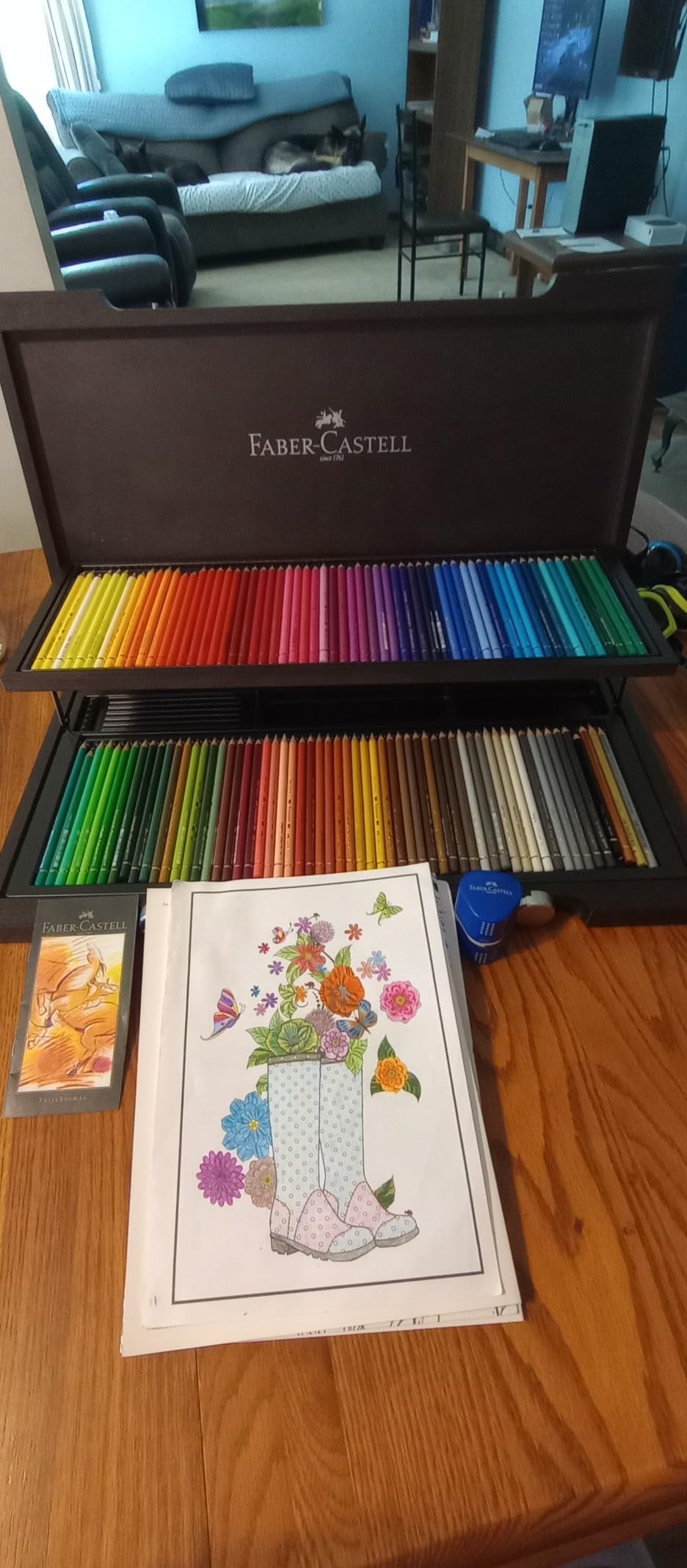 Faber-Castell Polychromos Artists' Color Pencils - Wood Case of 120 - Premium Quality Artist Pencils customer photo 2