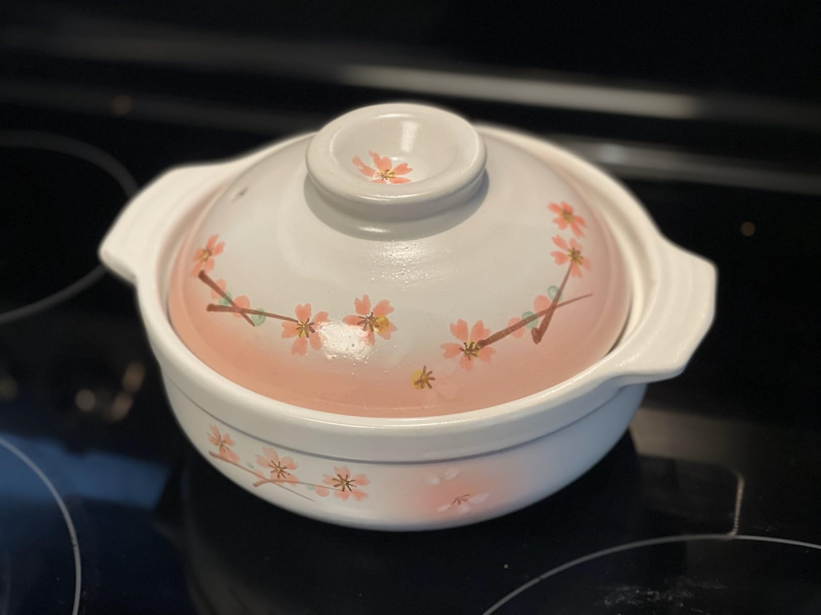 Clay Pot for Cooking Japanese Donabe Hot Pot Casserole Korean Earthenware Pot with Lid, Sakura Pattern, 7-inch (No.06) customer photo 1