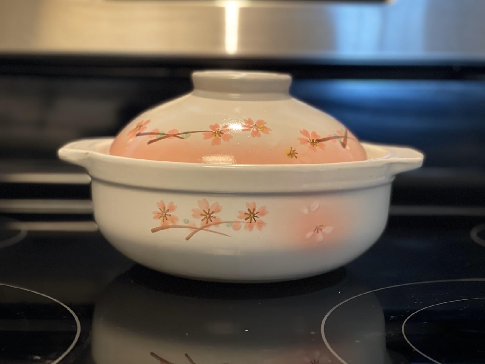 Clay Pot for Cooking Japanese Donabe Hot Pot Casserole Korean Earthenware Pot with Lid, Sakura Pattern, 7-inch (No.06) customer photo 2