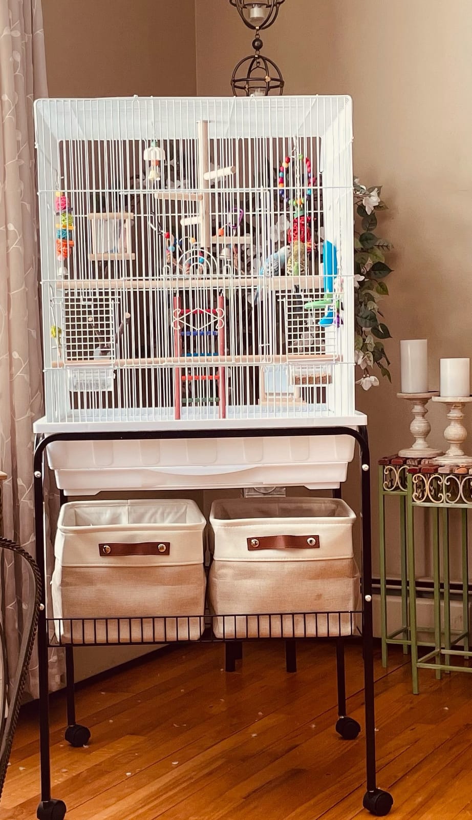 Prevue Pet Products Square Top Parakeet Cage, White customer photo 2