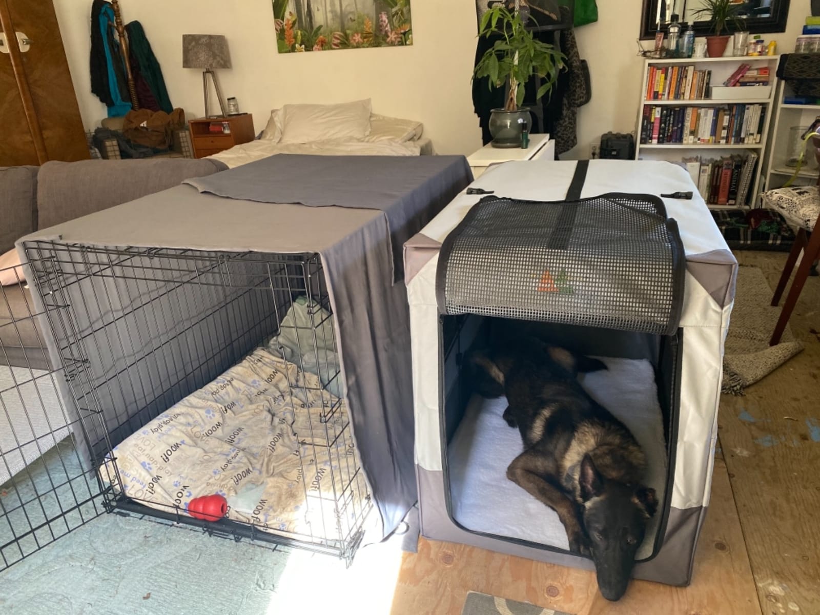 MidWest Canine Camper 36