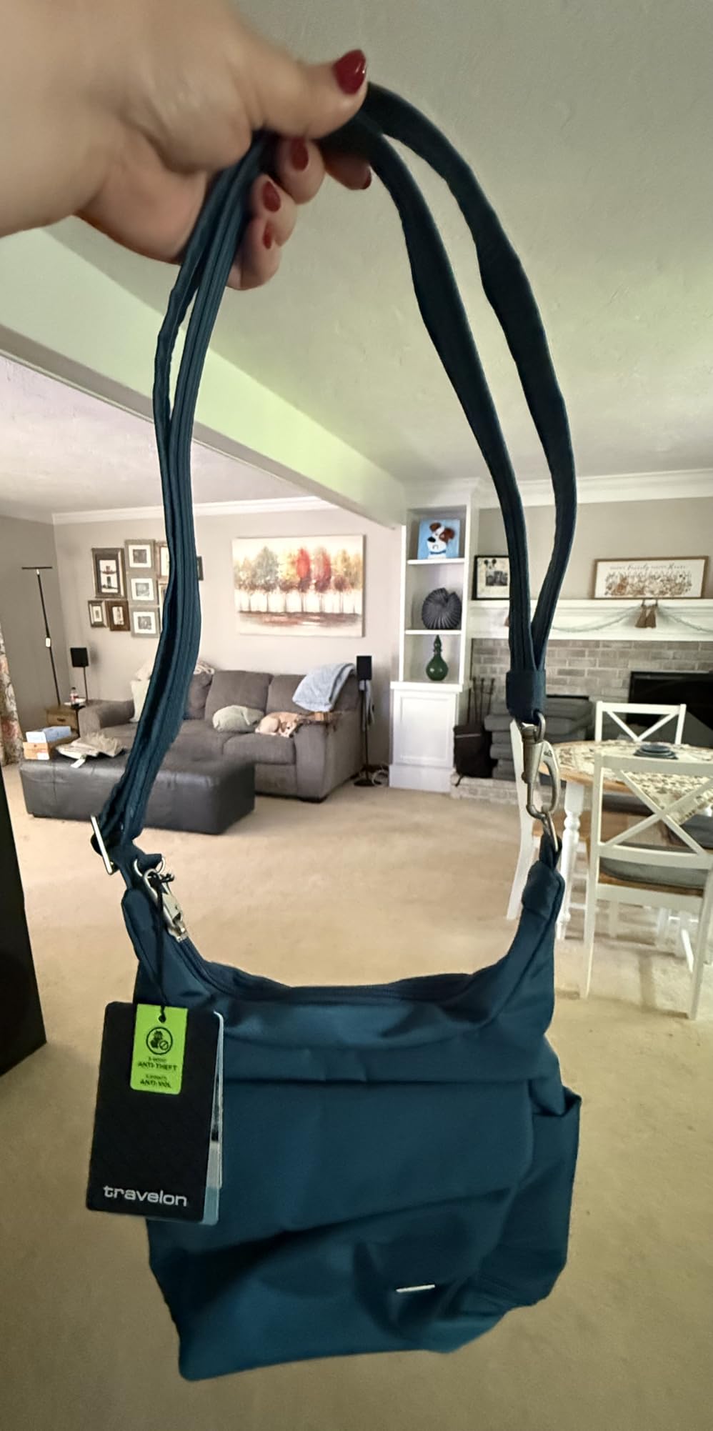 Anti-Theft Classic Messenger Bag (Travelon) customer photo 1