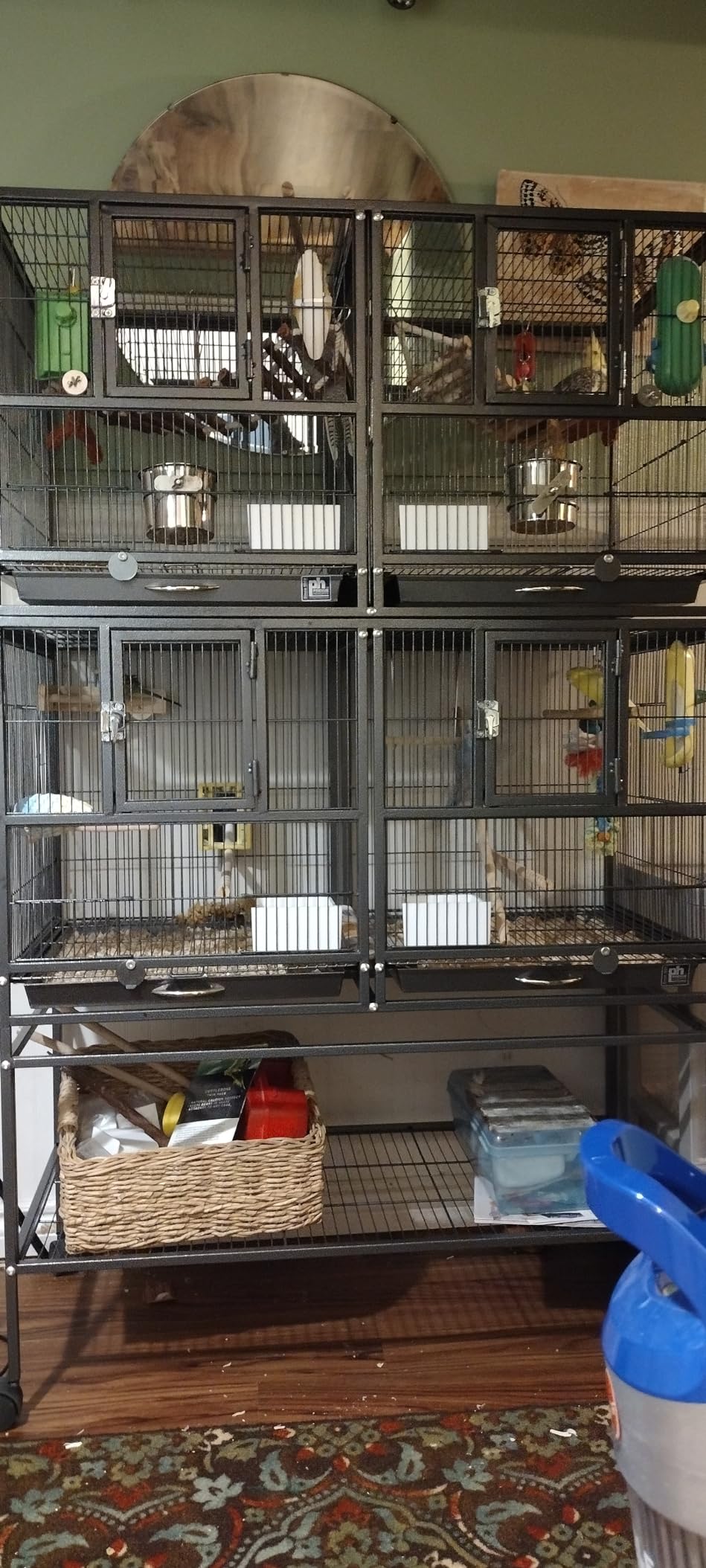 Prevue Pet Products Deluxe Divided Breeder Cage - Black customer photo 1