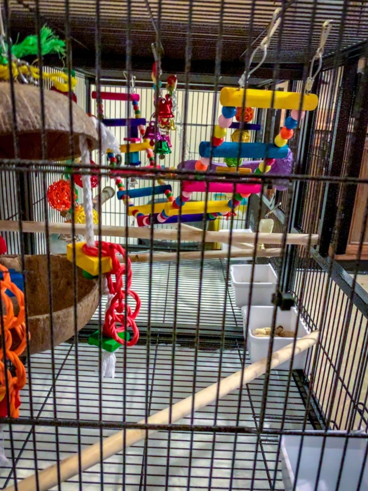 Prevue Pet Products Deluxe Divided Breeder Cage - Black customer photo 2