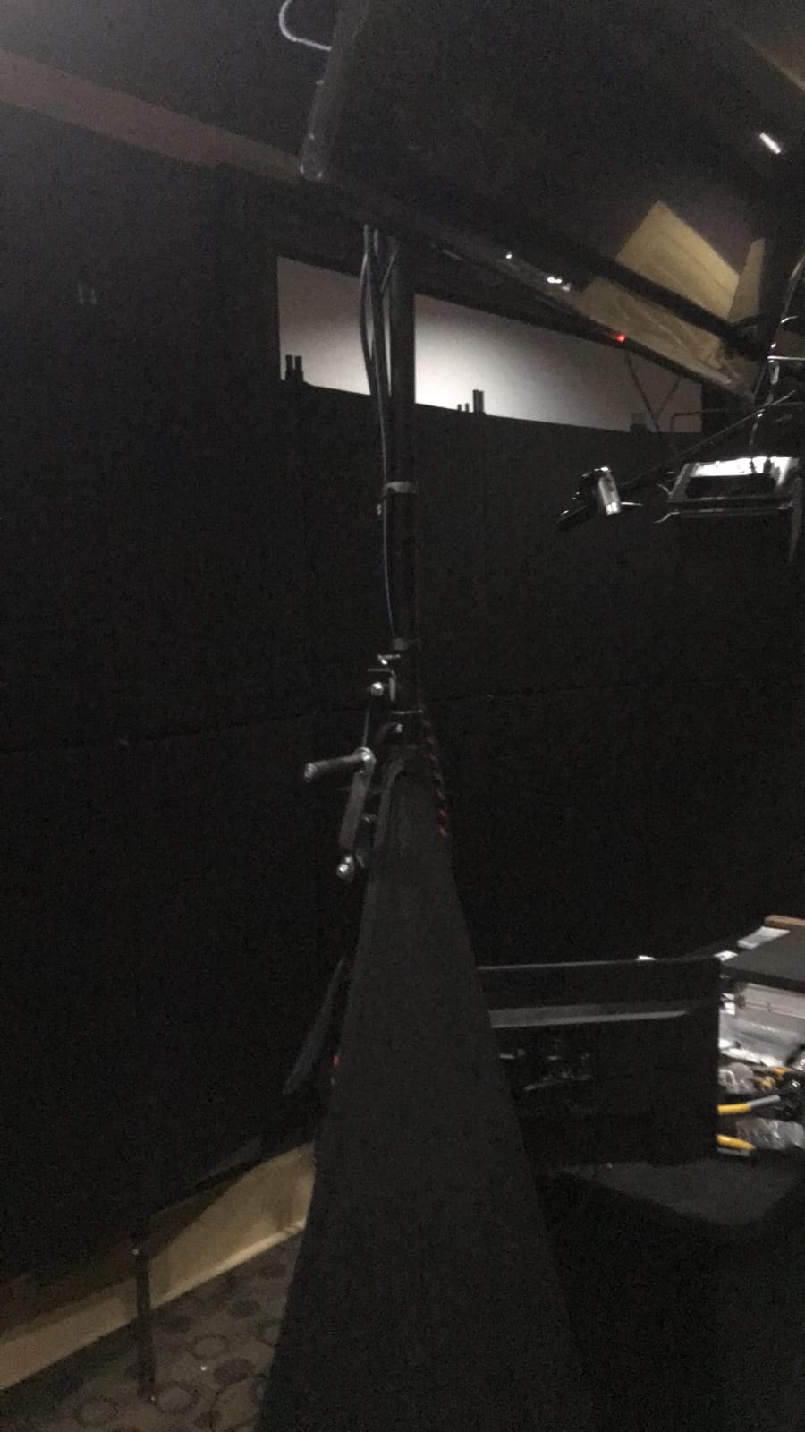 DJ Light Stand 10 Foot Crank Tripod - Pro Lighting or Speaker Stand ASC | Smooth height=