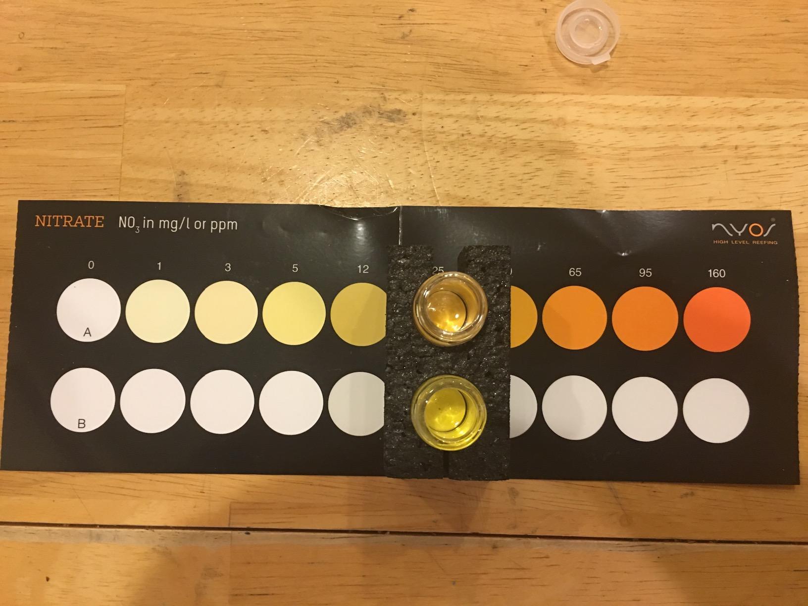 NYOS Nitrate Reefer Test Kit for Saltwater Aquariums - Lab-Grade Precision - 40 Tests - Glass Vials - Slide Comparator Included customer photo 1