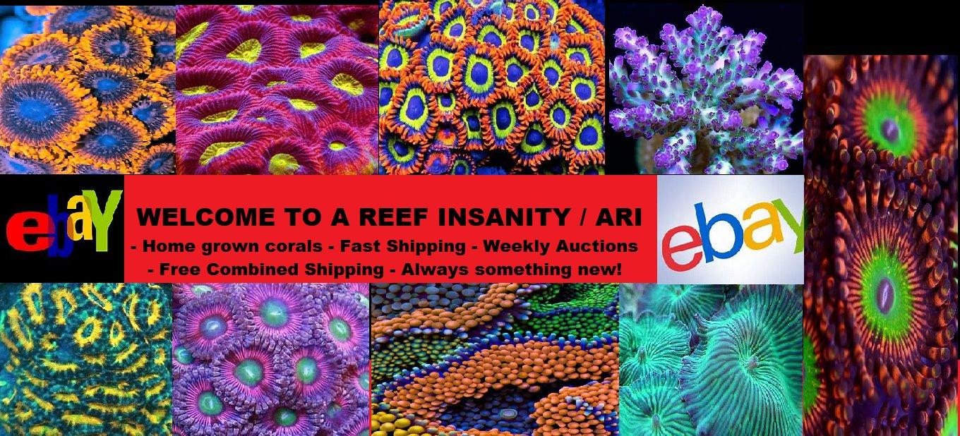 Master Reef Testing Combo Kit - Saltwater Aquariums customer photo 2
