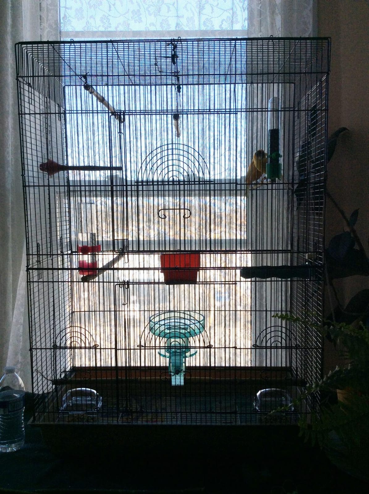 Prevue Pet Products Flight Cage Ideal for Small Birds - L, Brown & Black customer photo 2