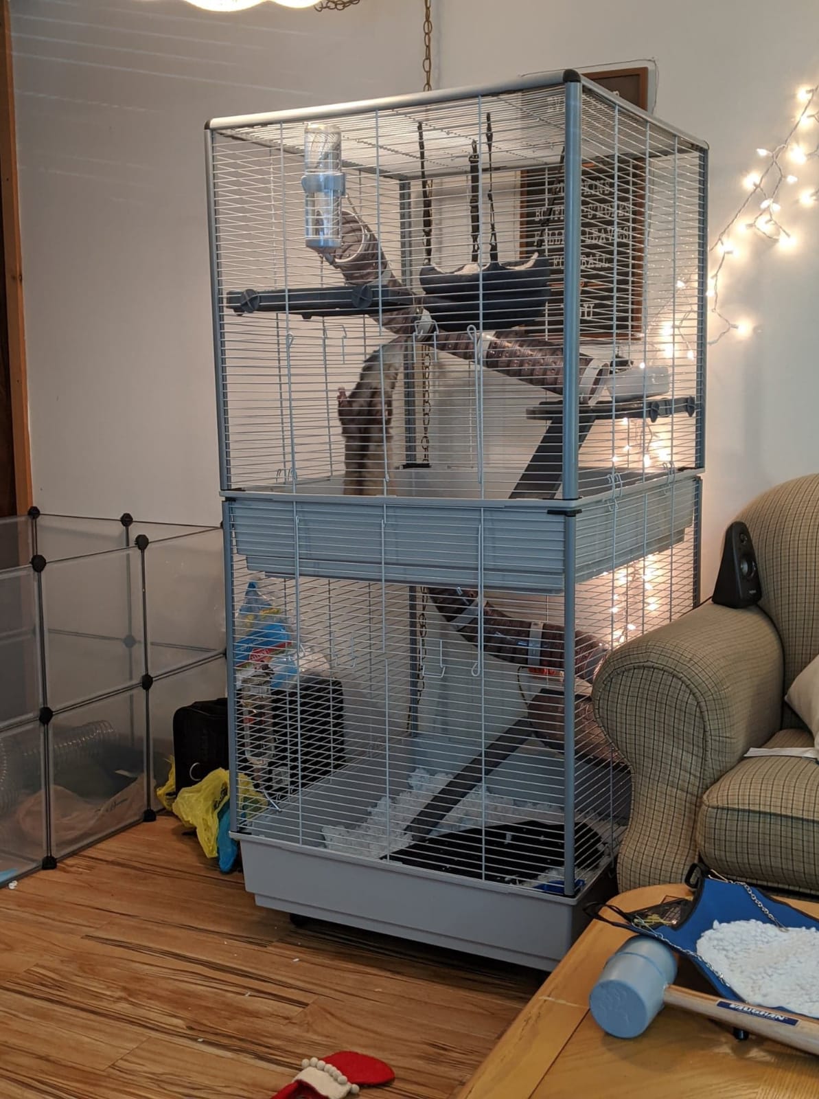 Ferplast Ferret Tower Two-Story Ferret Cage | XXL| Ferret Cage Measures 29.5L x 31.5W x 63.4H - Inches customer photo 2