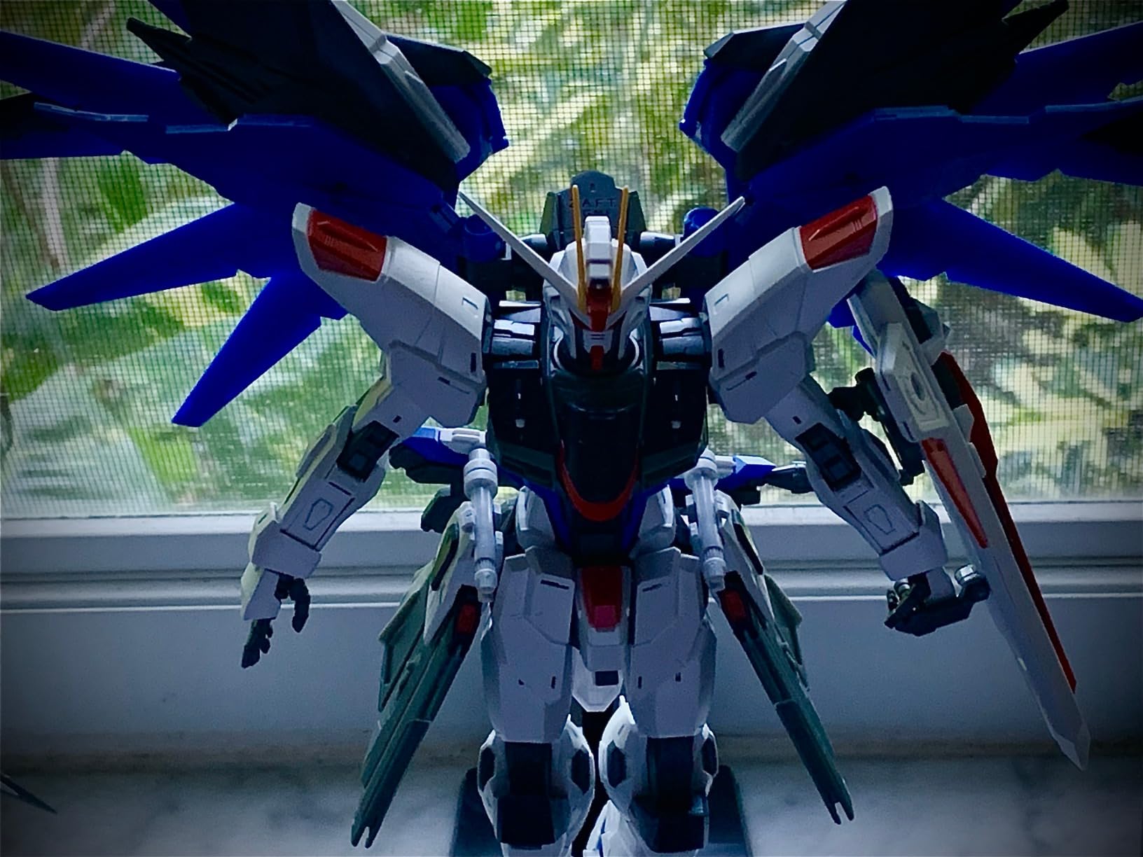 Bandai Hobby MG Freedom Gundam (Ver. 2.0) Gundam Seed 1/100, Multi-Colored customer photo 2