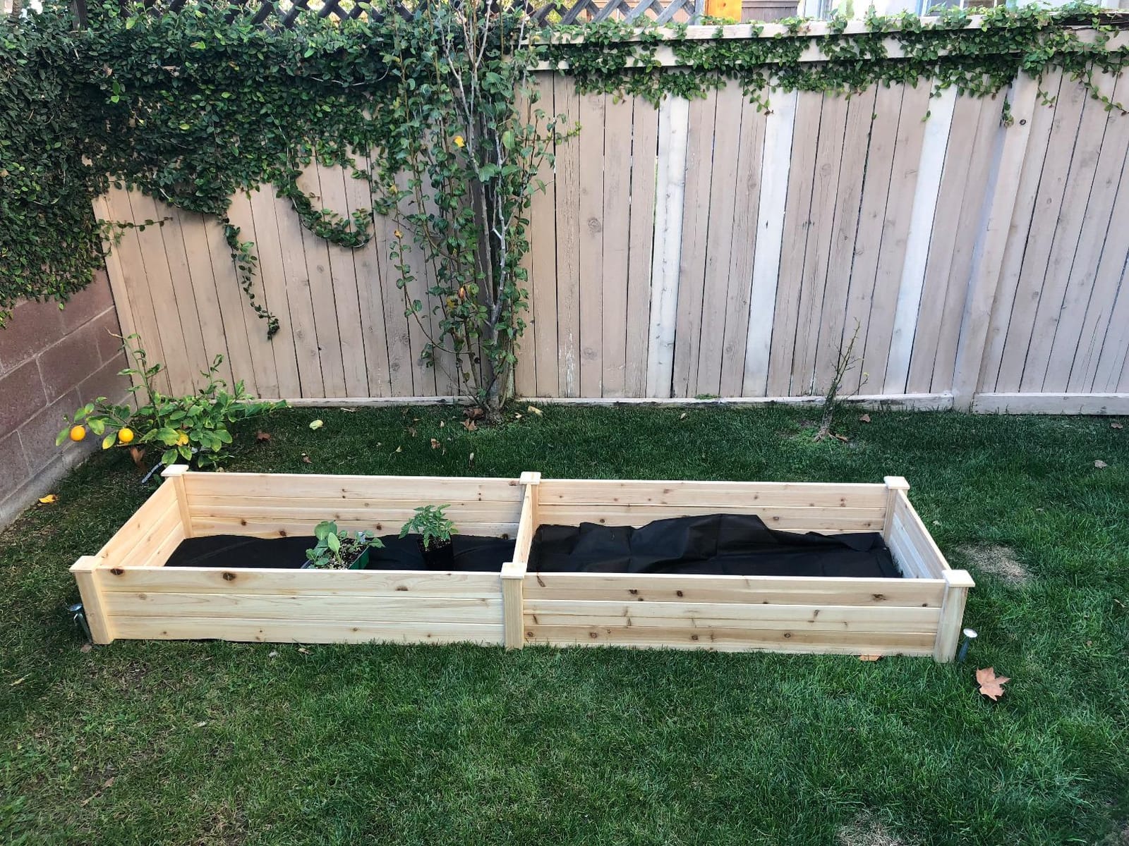Best Choice Products 8x2ft Outdoor Wooden Raised Garden Bed Planter for Vegetables, Grass, Lawn, Yard - Natural customer photo 2