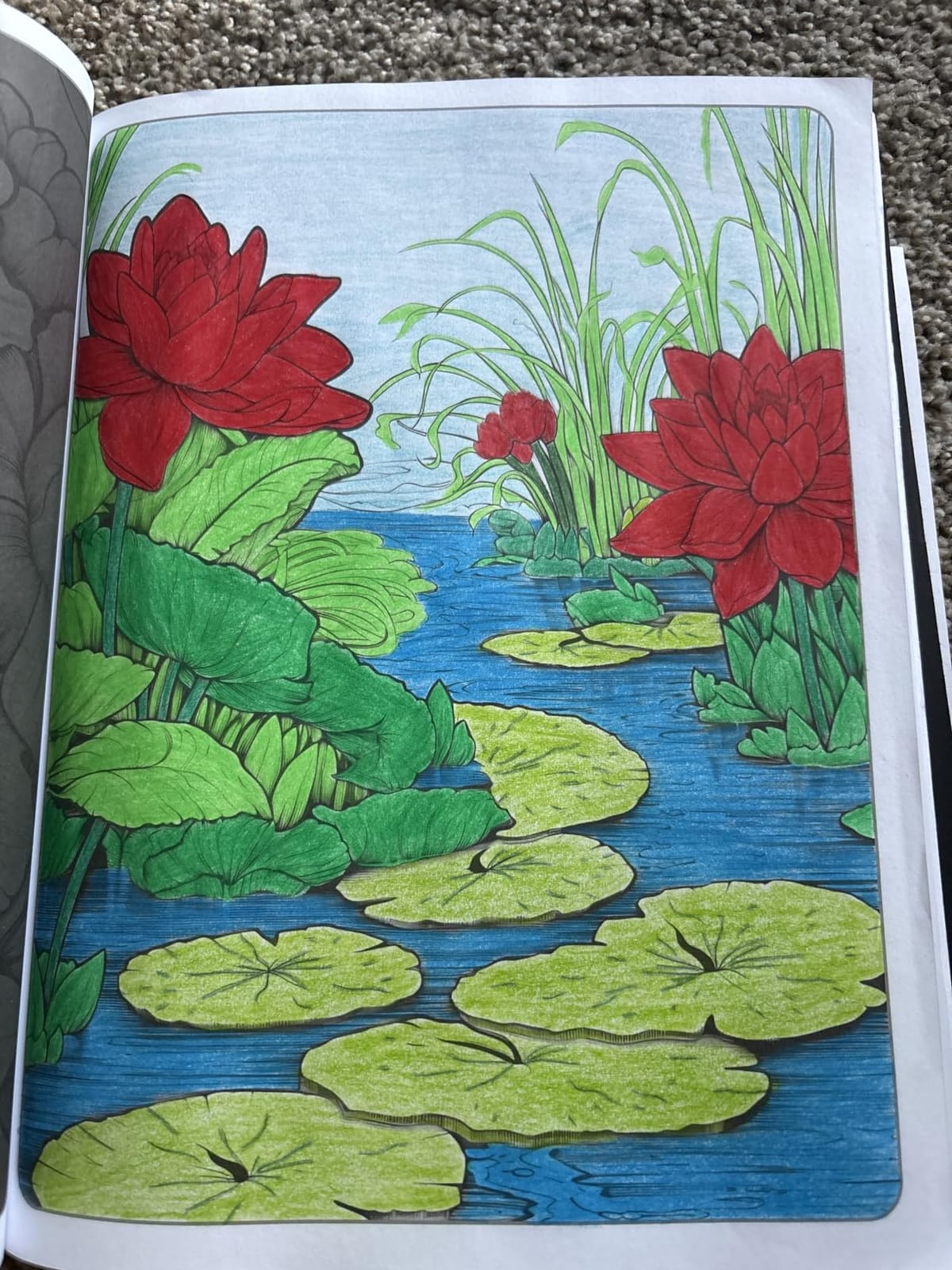 Soucolor 72 Colored Pencils for Adult Coloring Book | Vibrant, Soft Core, Smooth Coloring Pencils for Kids Beginners Sketching, Drawing, Blending, Shading, Arts & Crafts Supplies Gift customer photo 1