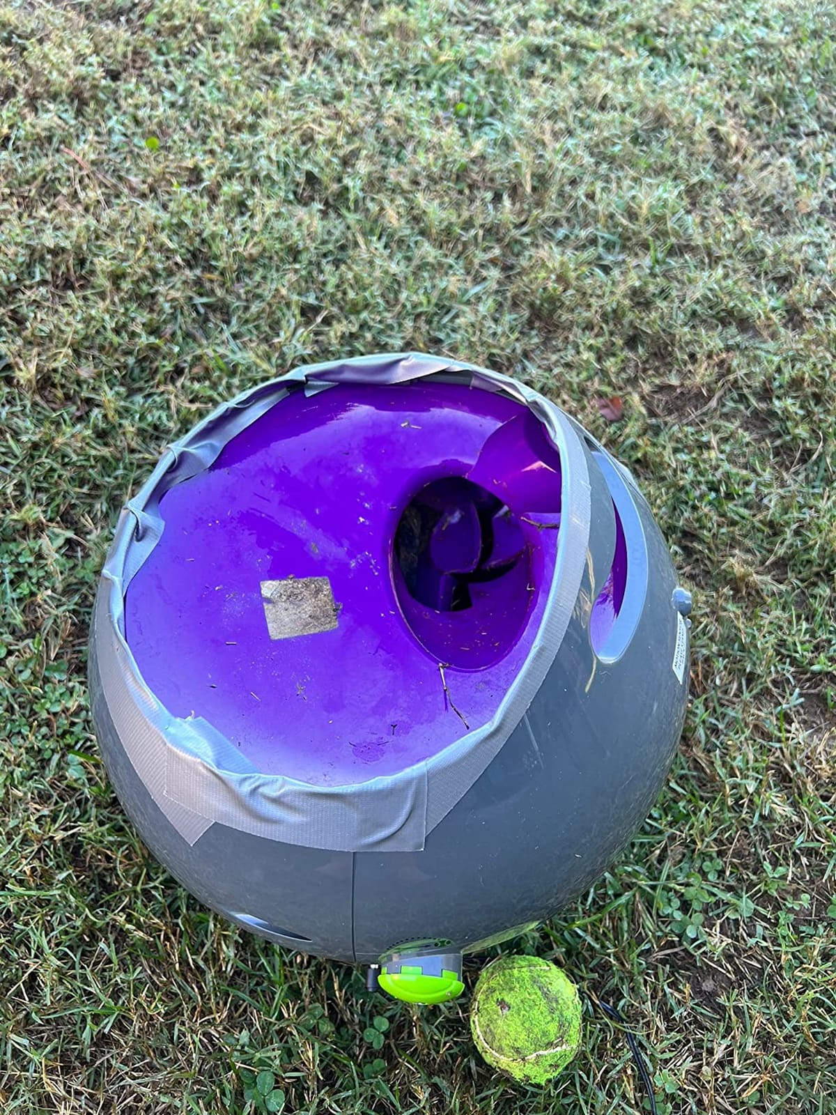 PetSafe Automatic Dog Ball Launcher | Launches 8-30 Ft with 9 Distance and 6 Angle Settings, Motion Sensors Protect up to 7 Ft, Auto Sleep After 15 Minutes of Play customer photo 1