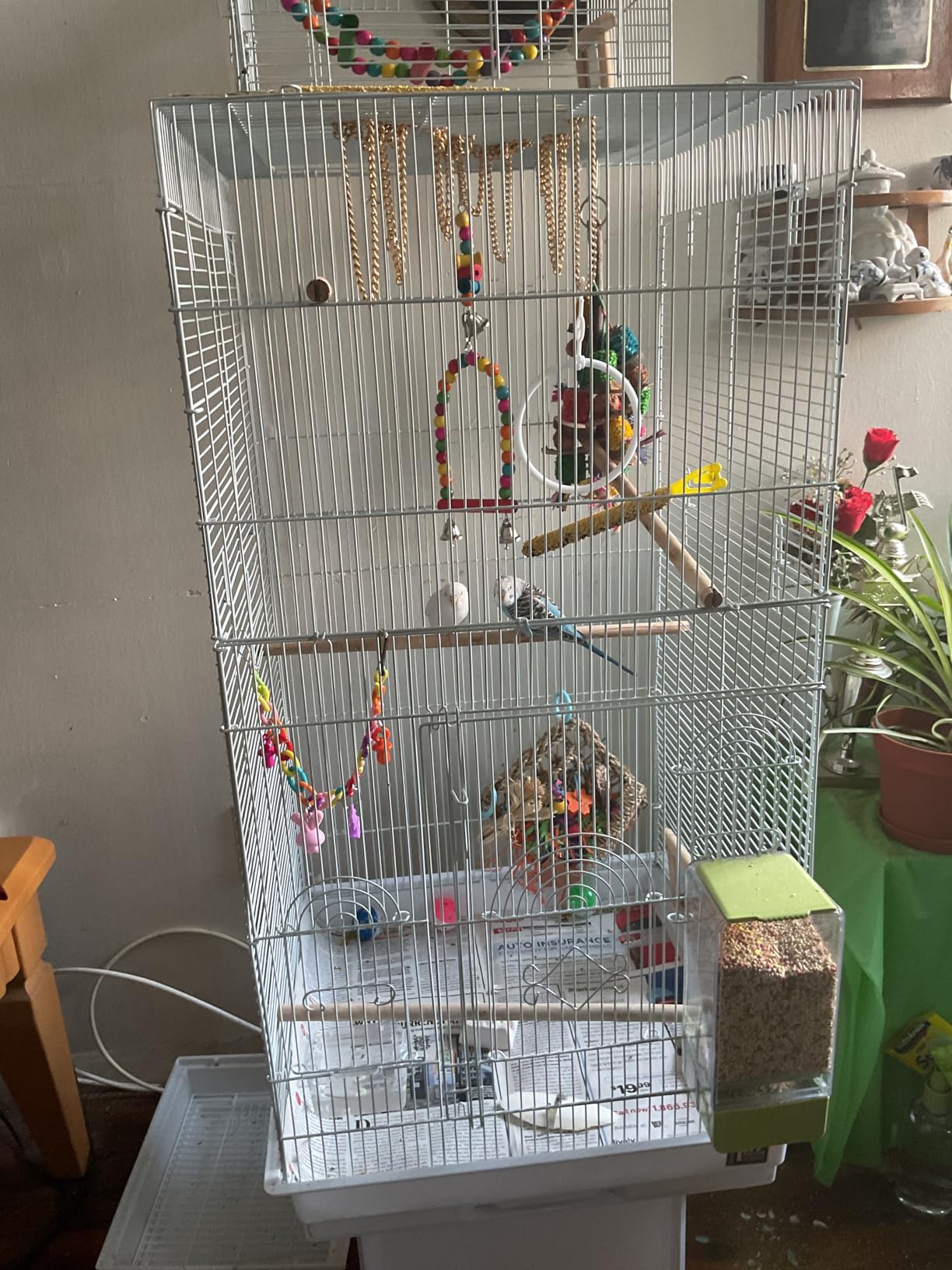Prevue Pet Products SPECONO1818H-SG Tall Tiel Cage, Sage Green customer photo 1