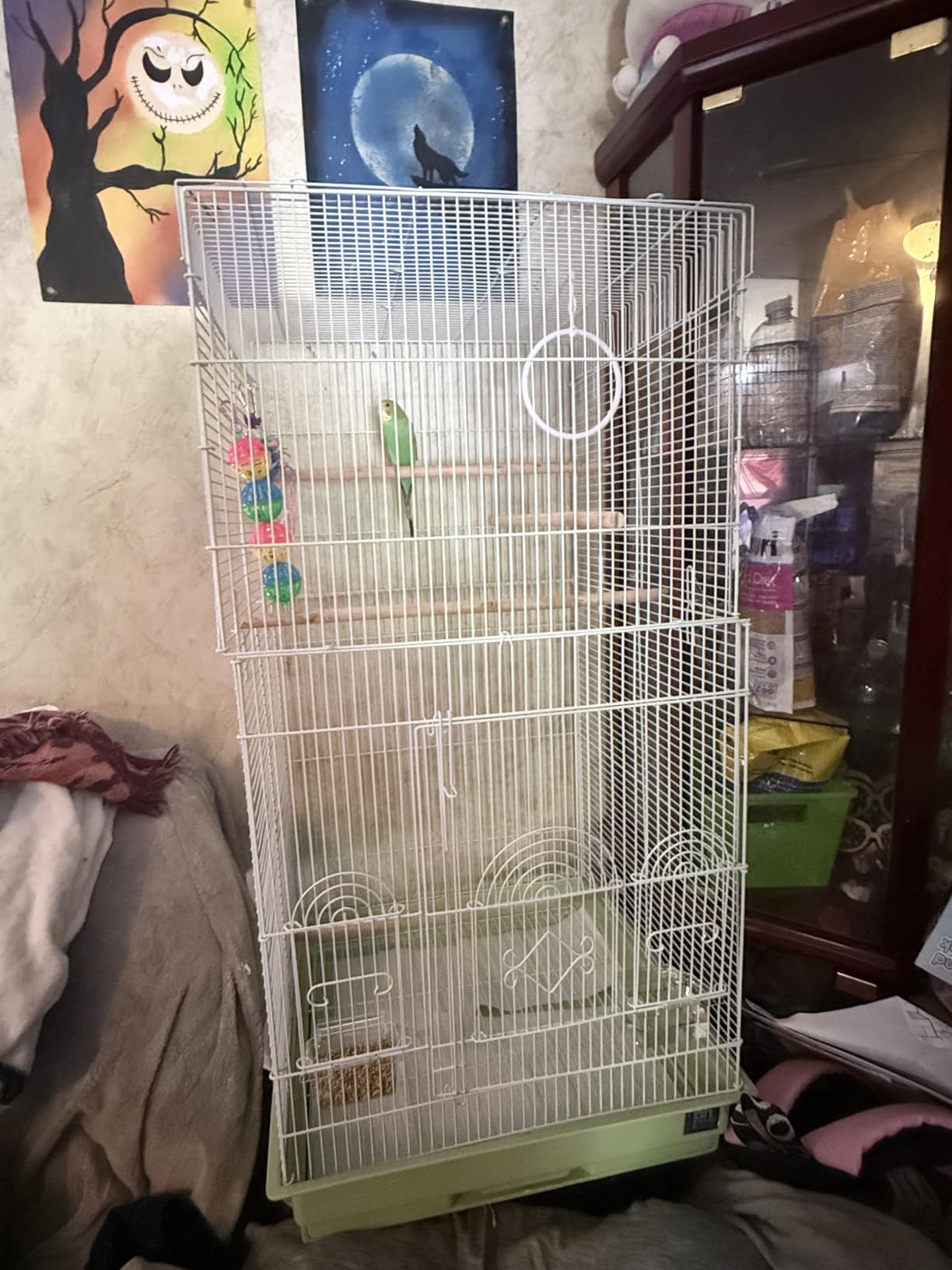 Prevue Pet Products SPECONO1818H-SG Tall Tiel Cage, Sage Green customer photo 2