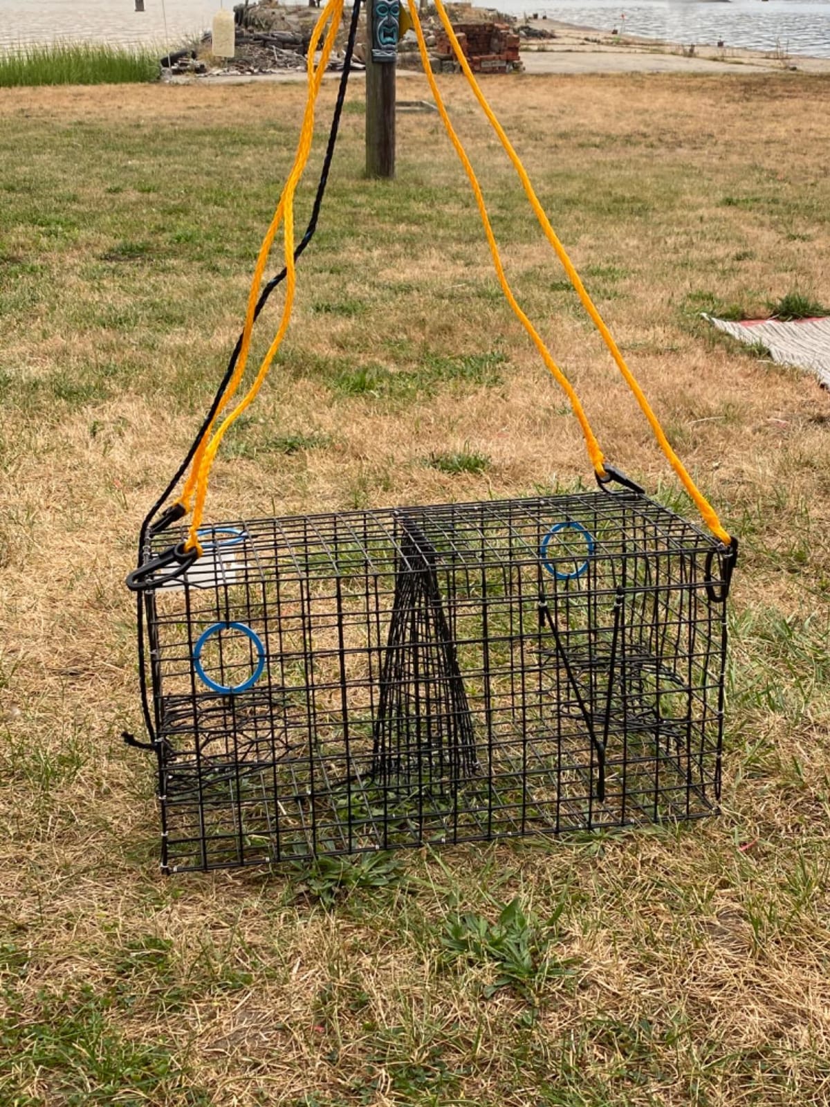 Maryland Blue Crab Pot Trap, PVC Coated Wire mesh, Heavy Duty, Two T.E.D. (Turtle Excluder Device), Two Escape Rings, Float, Rope, Ready for use. Come with Crab & Lobster Measure Gauge. Made in USA customer photo 1