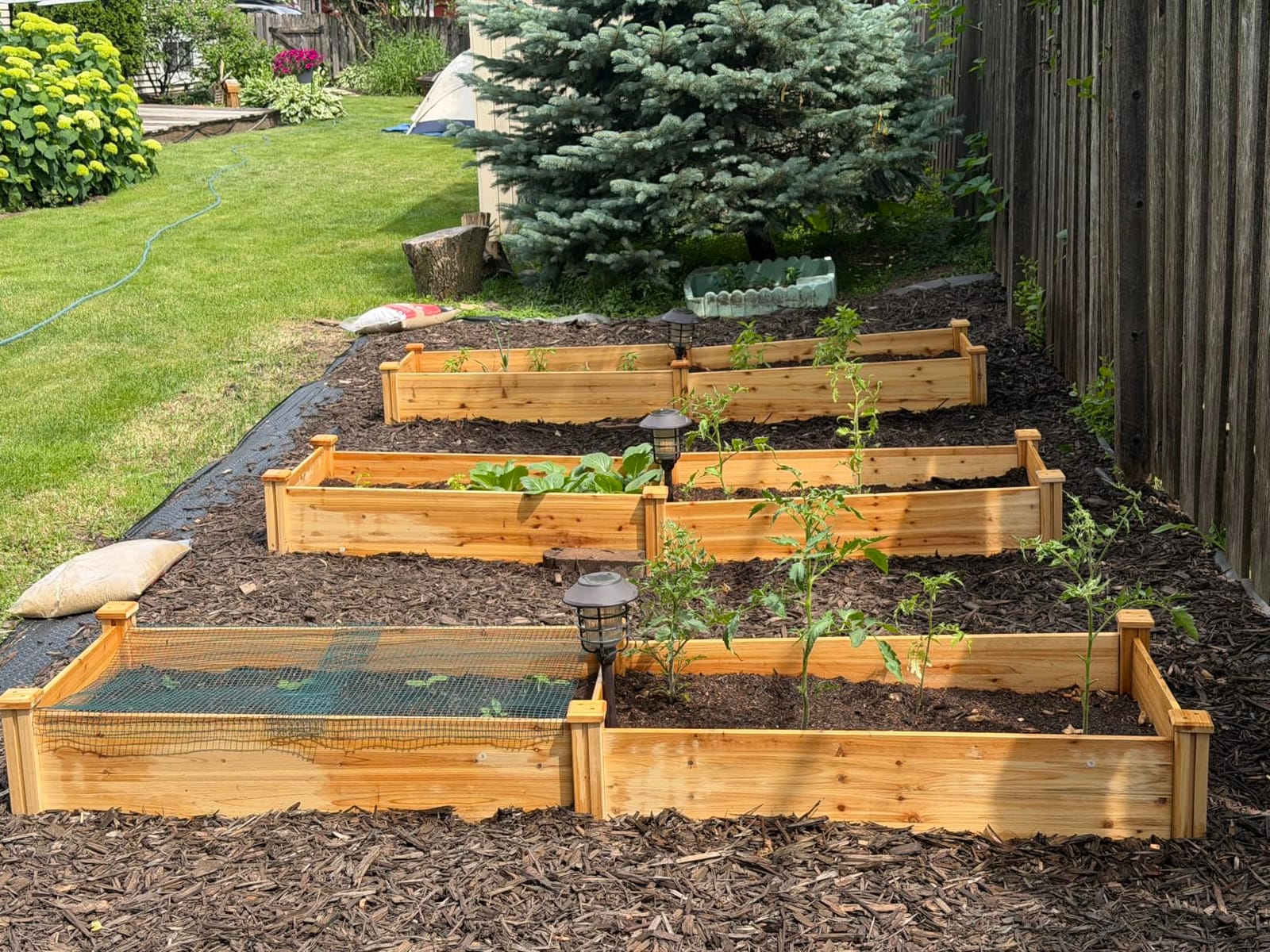 Yaheetech Wooden Raised Garden Bed Outdoor Planter Box with Divided Growing Areas customer photo 2