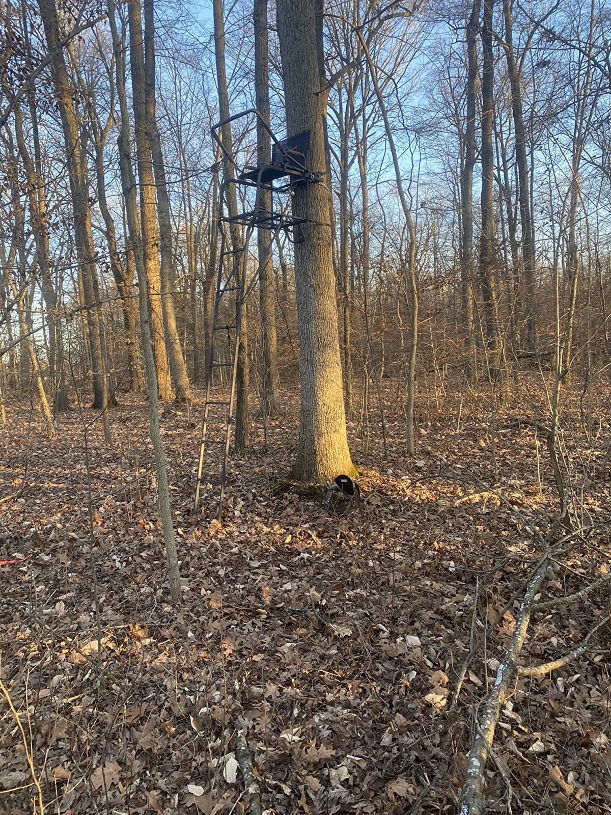 BIG GAME 2 Person Ladder Stand customer photo 1