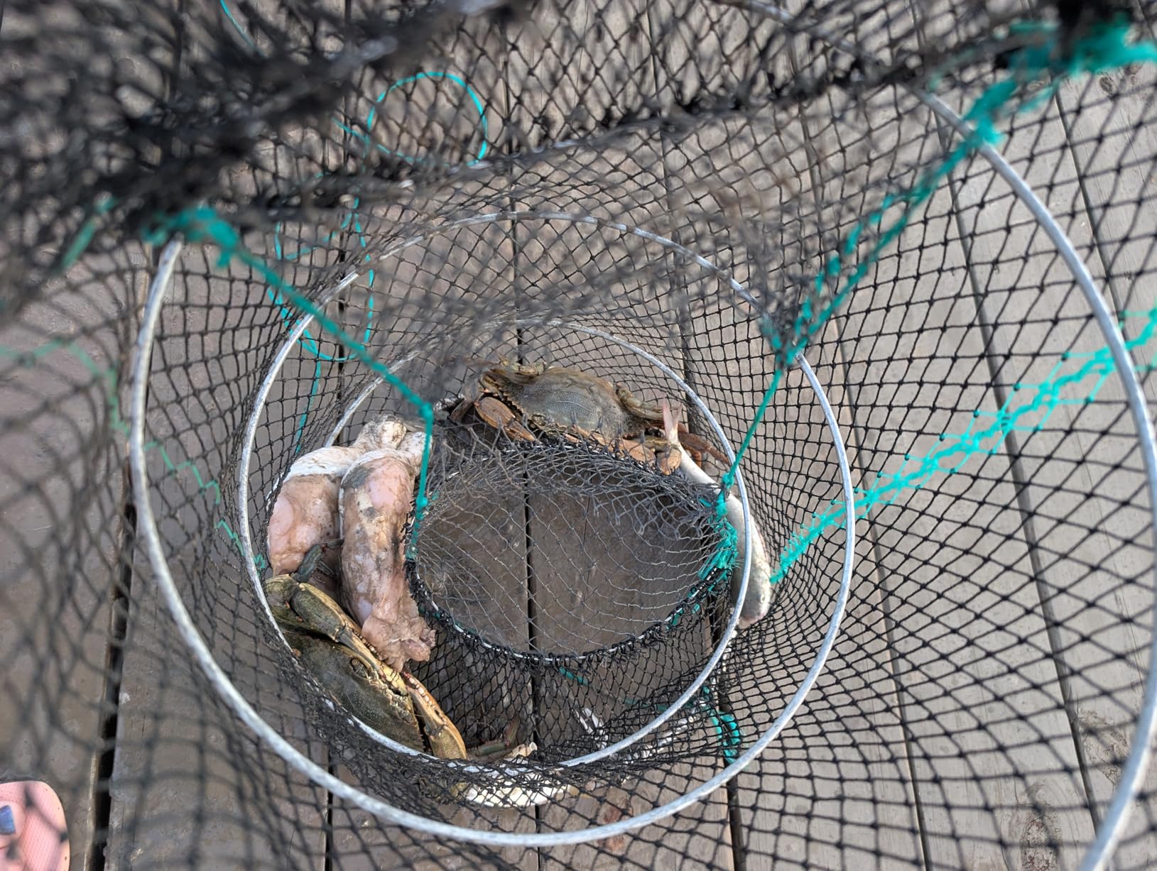 Drasry Crab Trap Bait Lobster Crawfish Shrimp Portable Folded Cast Net Magic Collapsible Fishing Traps Nets Accessories for Blue Crabs customer photo 2