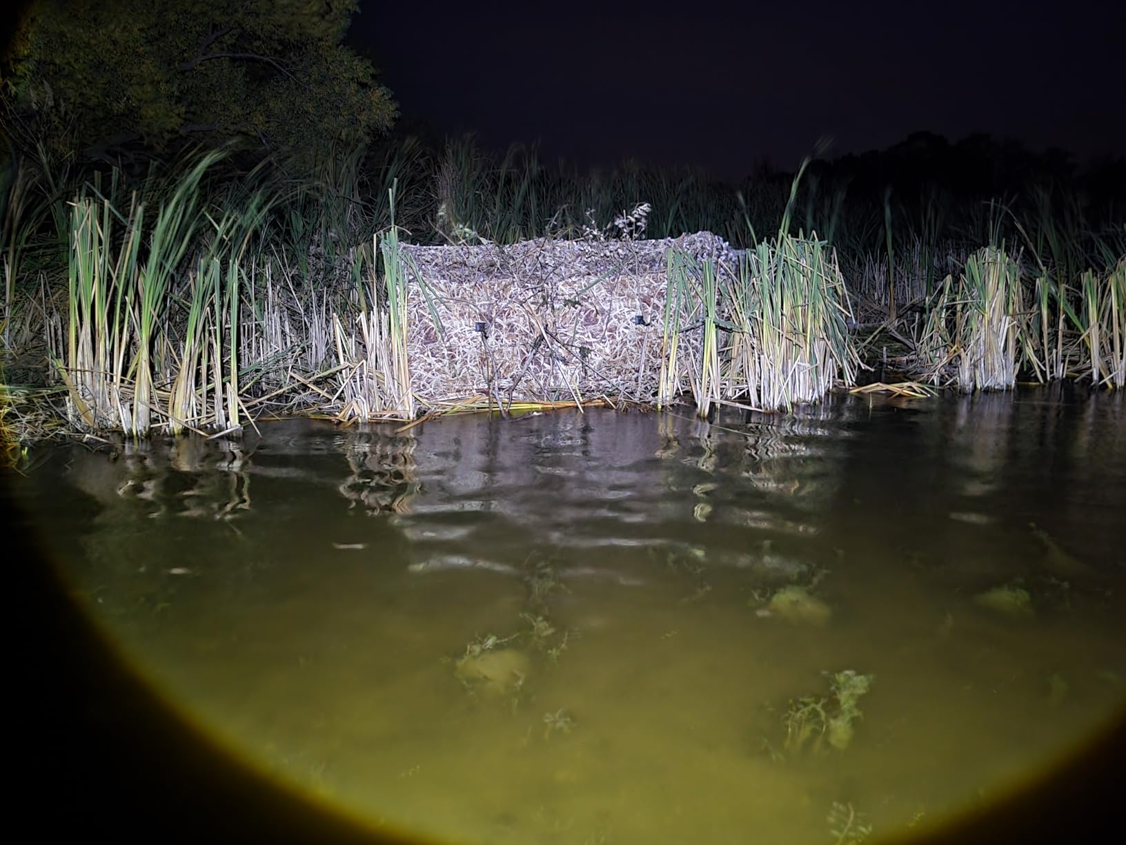AUSCAMOTEK Pop Up Ground Blind for Deer Duck Turkey Hunting Portable Quick Setup Lightweight Green/Brown/Dry Grass Ground Peg Included customer photo 1