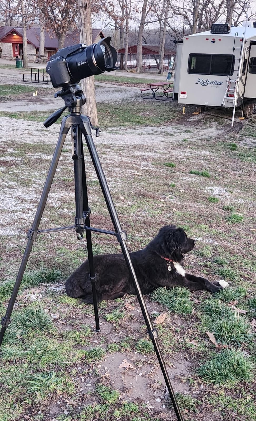 SIRUI AM-124 Carbon Fiber Tripod with AM-5VX Fluid Head customer photo 2