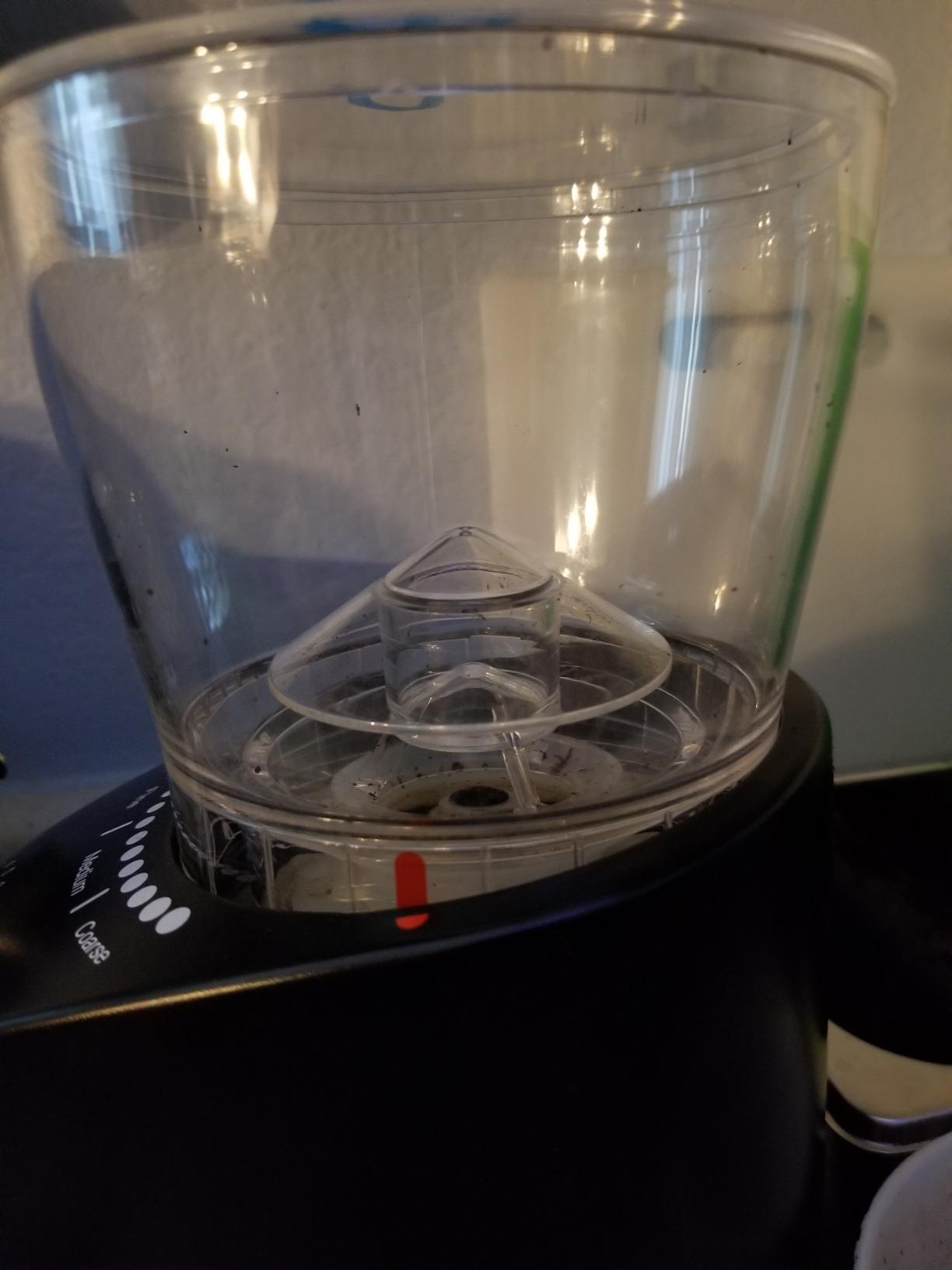 Capresso Infinity Plus Conical Burr Grinder, Black customer photo 2