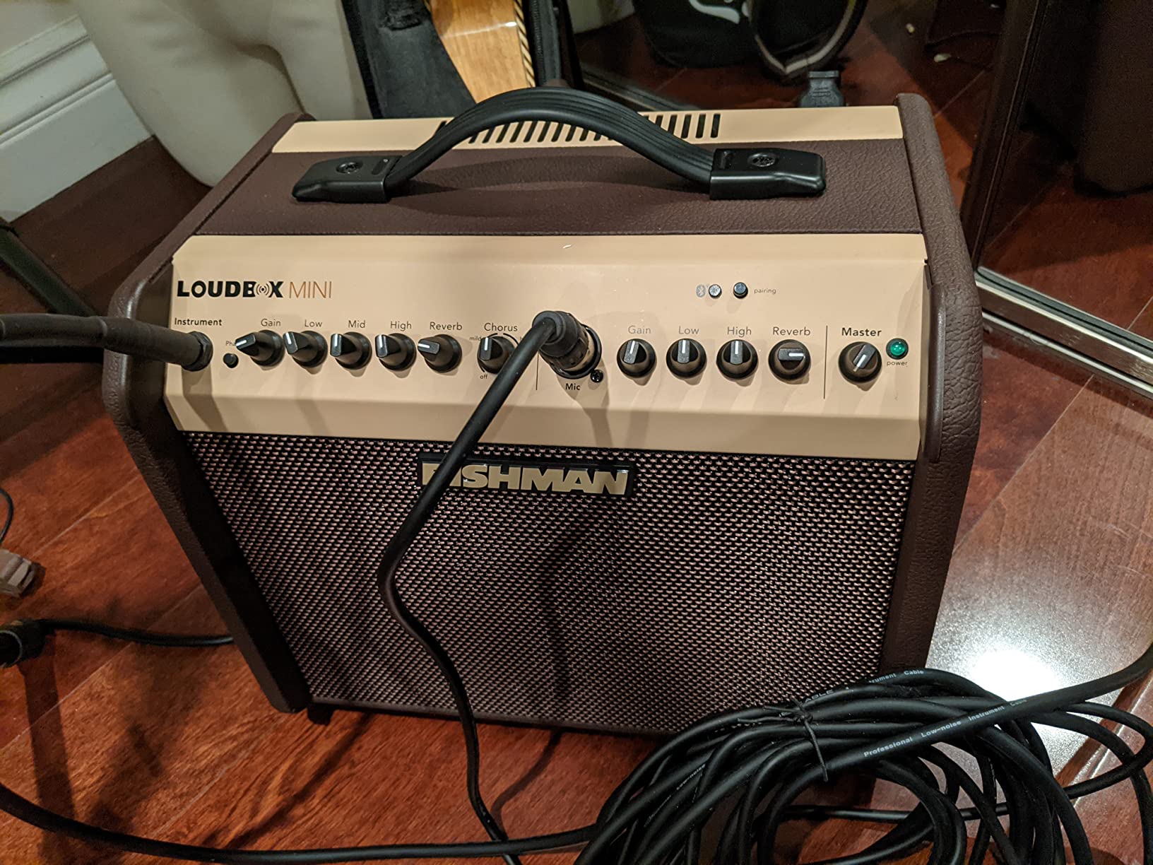 Fishman Acoustic Guitar Amplifier (PRO-LBT-500) Brown customer photo 1