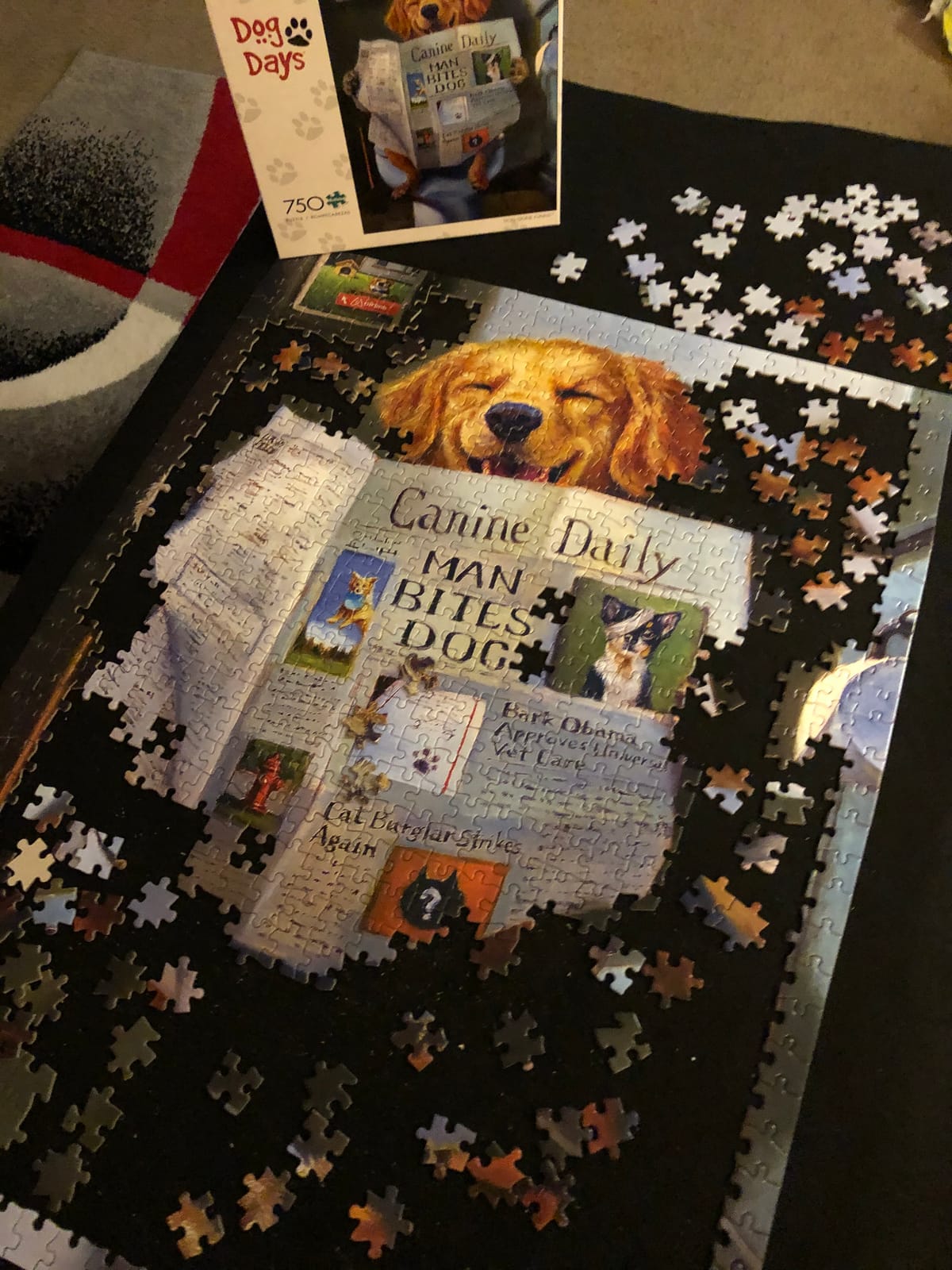 Lavievert 1500 Piece Jigsaw Puzzle Mat Roll Up, Portable Board for Adults customer photo 2