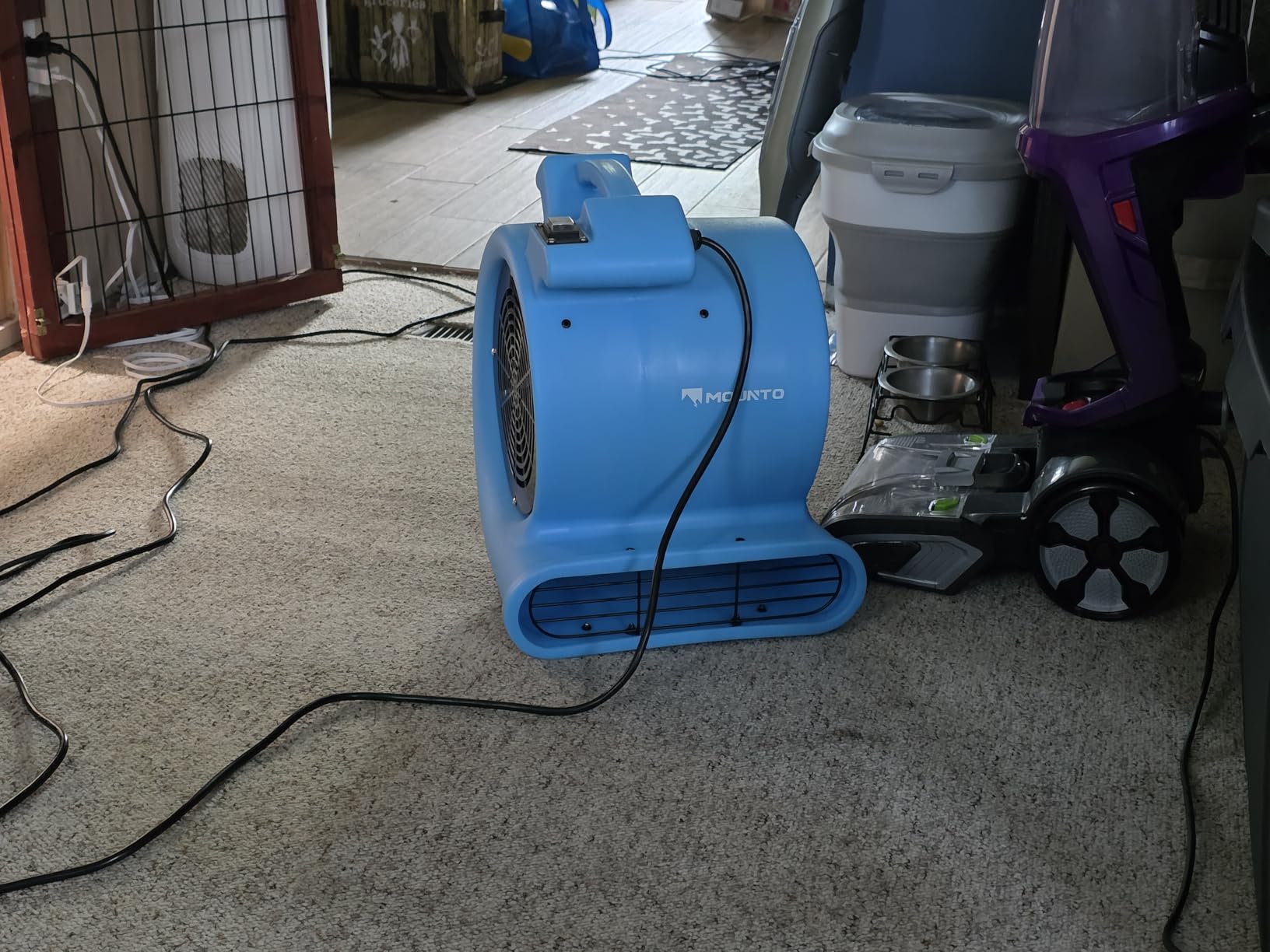 MOUNTO 1/2hp Air Mover Floor Drying Blower Fan - Powerful 1/2HP Motor Carpet Dryer, 2200 CFM Air Flow, Lightweight Design, 2-Speed Settings for Drying, Cooling & Circulation customer photo 1