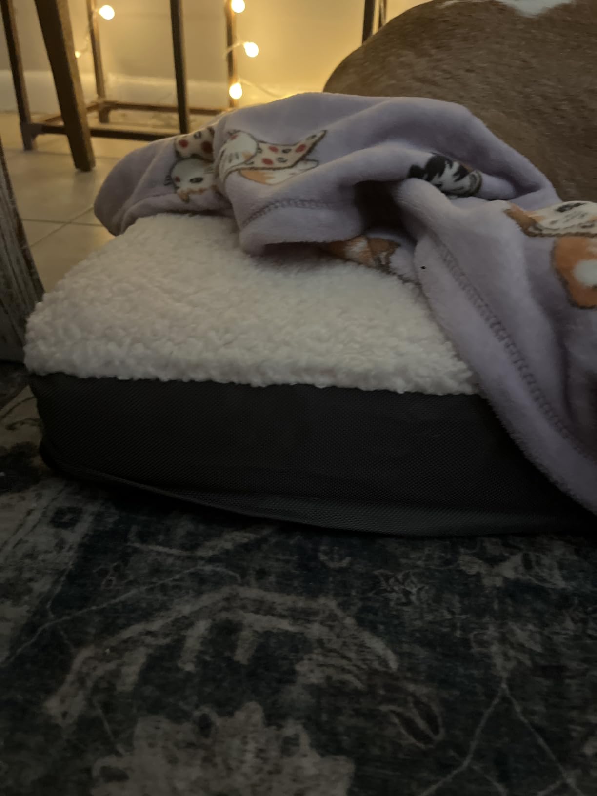 Bedsure XL Dog Bed, Extra Large Pet Bed with Comfy Sherpa, 44x32in Grey | Orthopedic Egg Crate Foam, Comfort Support Flat Rectangle Pet Mat, Non-Slip Bottom, Removable Cover, For Extra Pet Up to 80 lbs customer photo 2