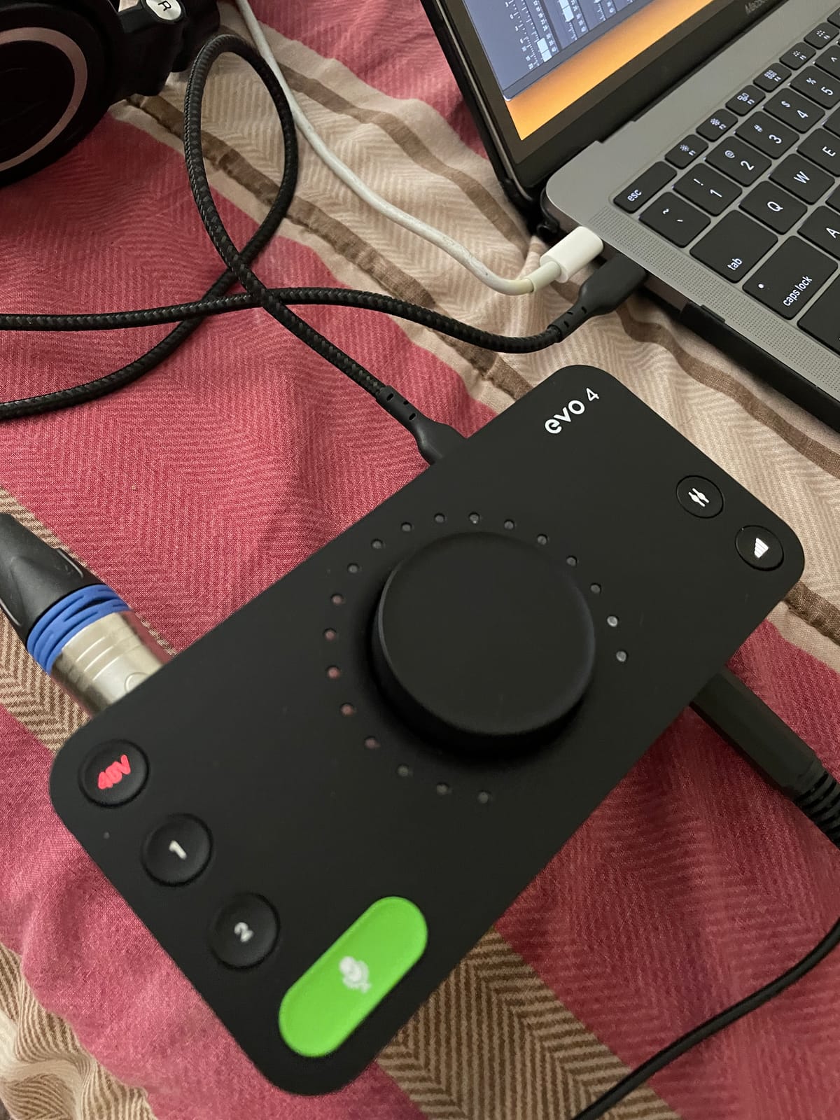 Audient EVO 4 USB Audio Interface customer photo 2