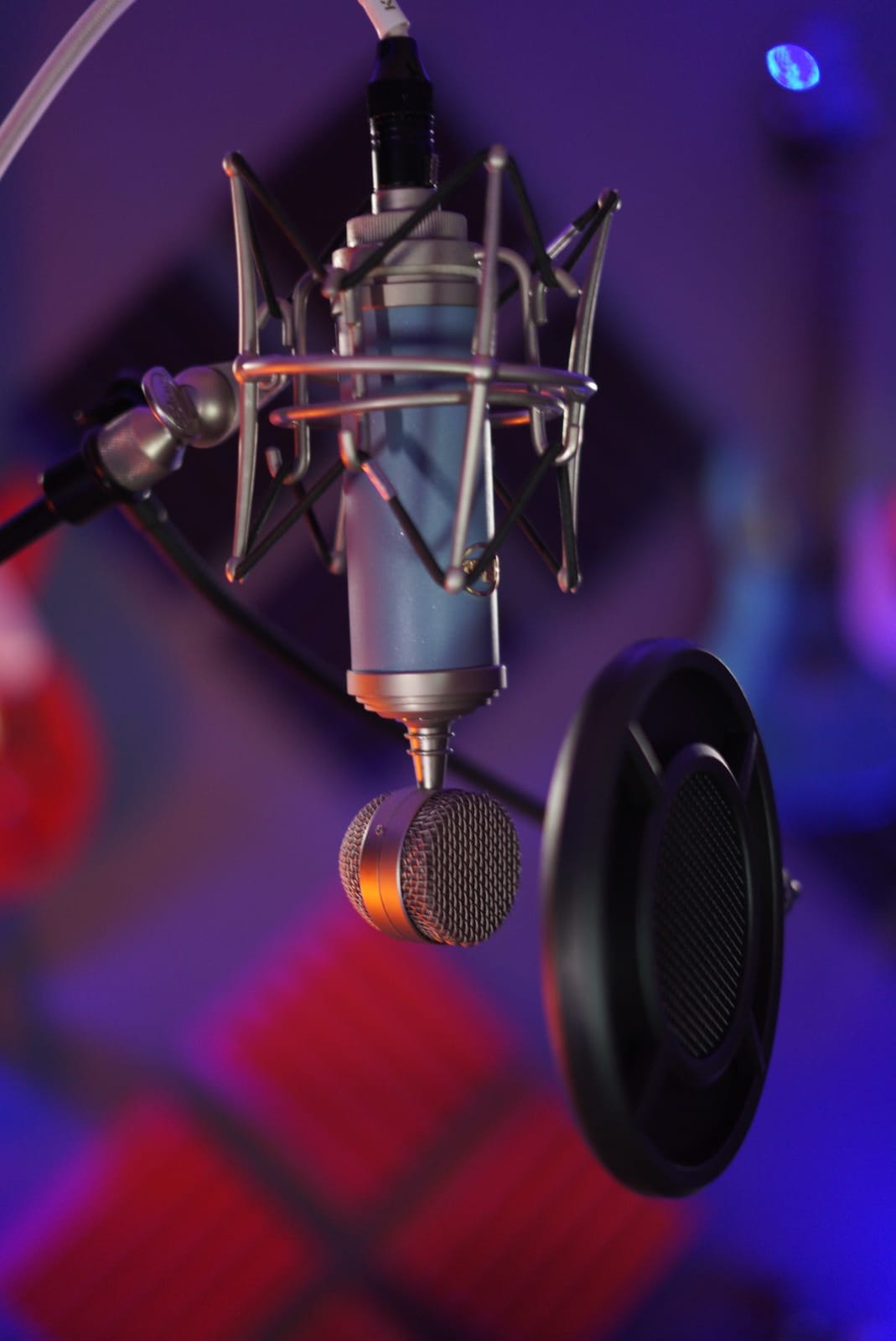 Mic Pop Filter, Professional Metallic Mic Pop Filter Mesh for Blue Yeti and Any Other Mic, ARISEN Dual Layered Microphone Pop Filter, Mic Filter with A Flexible 360° Gooseneck Clip Stabilizing Arm customer photo 2