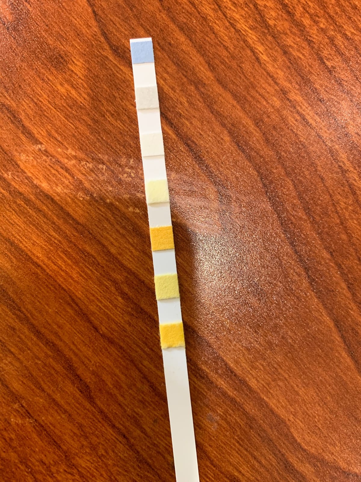Aquarium Test Strips for Freshwater Fish: 7 in 1 Fish Tank Water Testing Kit for Aquarium Pond - Accurate Testing Nitrate Nitrite Hardness Free Chlorine pH Carbonate Total Alkalinity-100 Strips customer photo 2