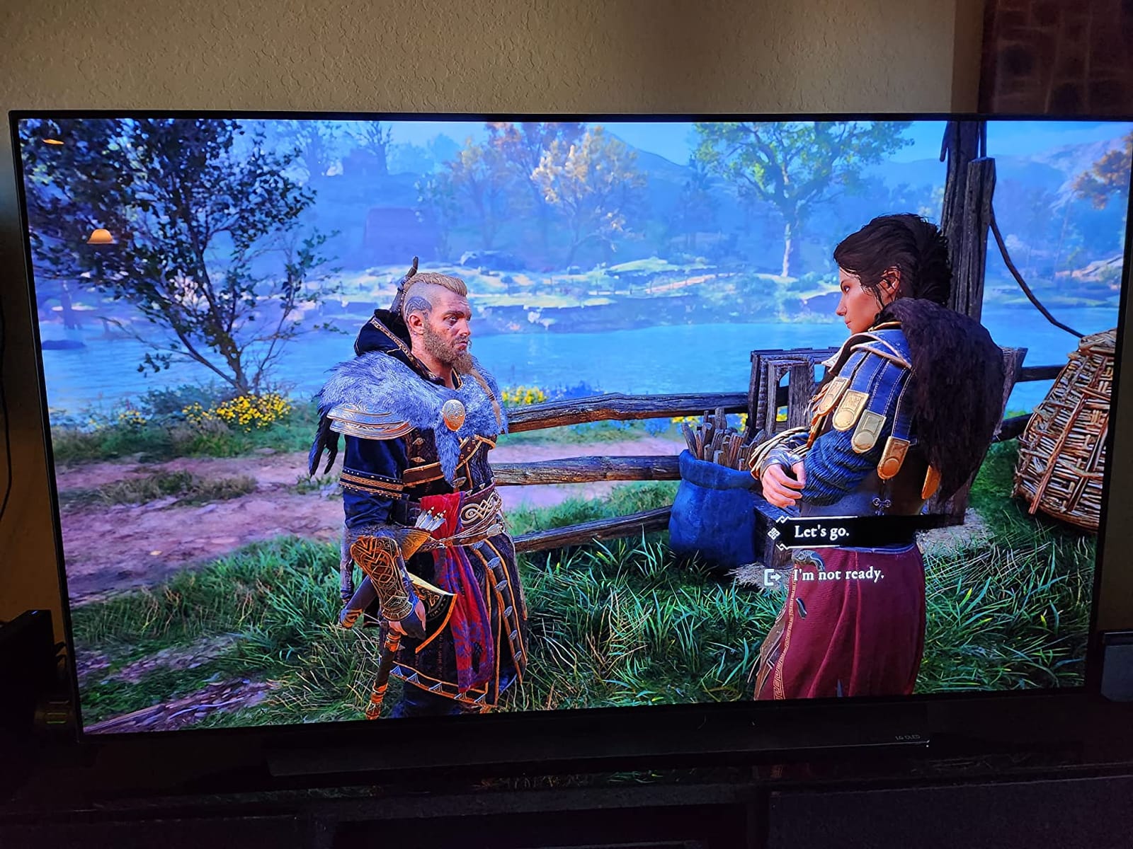 LG C1 65-Inch OLED customer photo 1