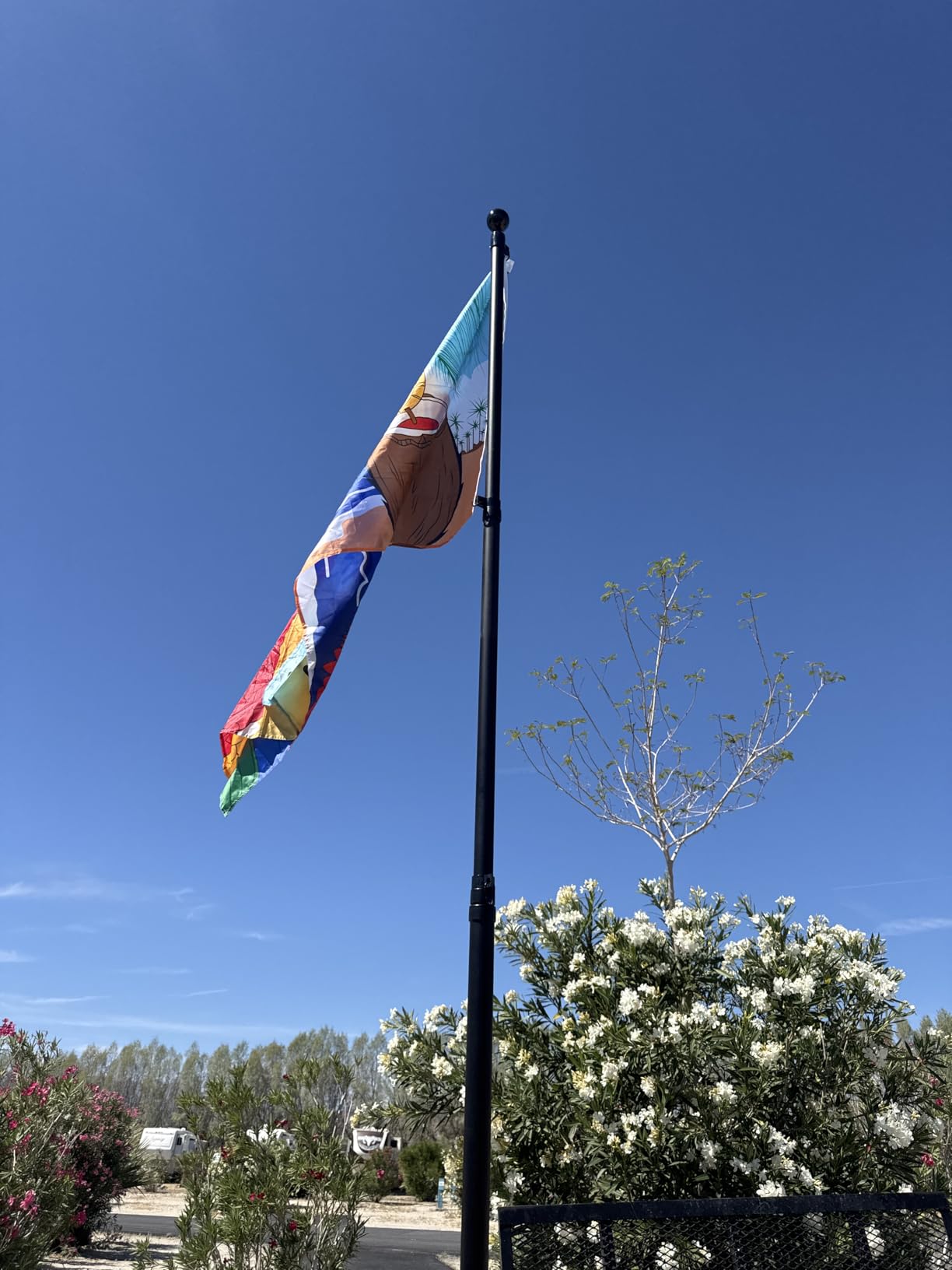 20 FT Telescoping Flag Pole, Heavy Duty Aerospace Aluminum Flagpole Kit customer photo 2