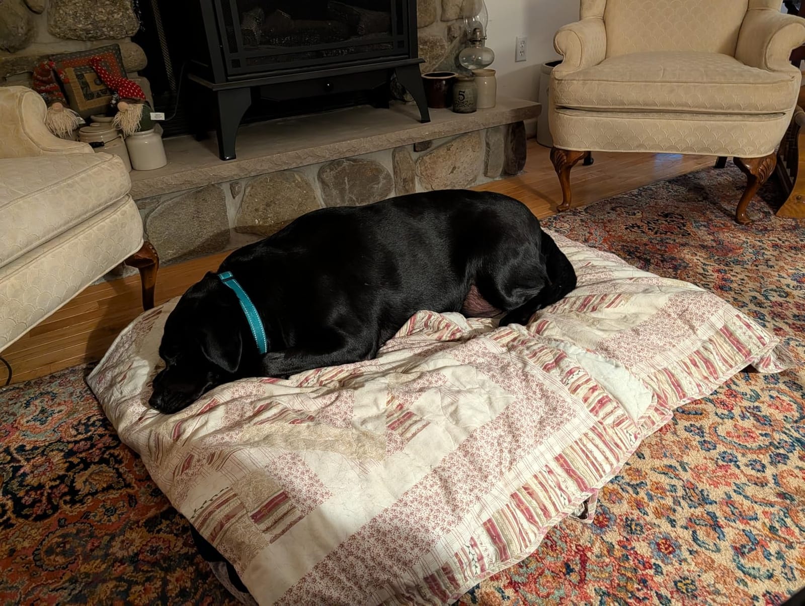 Magic Dog Orthopedic Extra Large Dog Bed 47 Inch, Super Soft XL Pet Bed | High Density Foam Dog Mattress with Removable Washable Cover, Joint Support for Large Senior Dogs, Non Slip Bottom, Grey customer photo 2