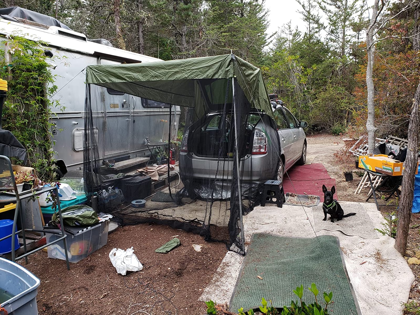 G4Free Car Awning Sun Shelter with Mosquito Net, Portable SUV Tent customer photo 2